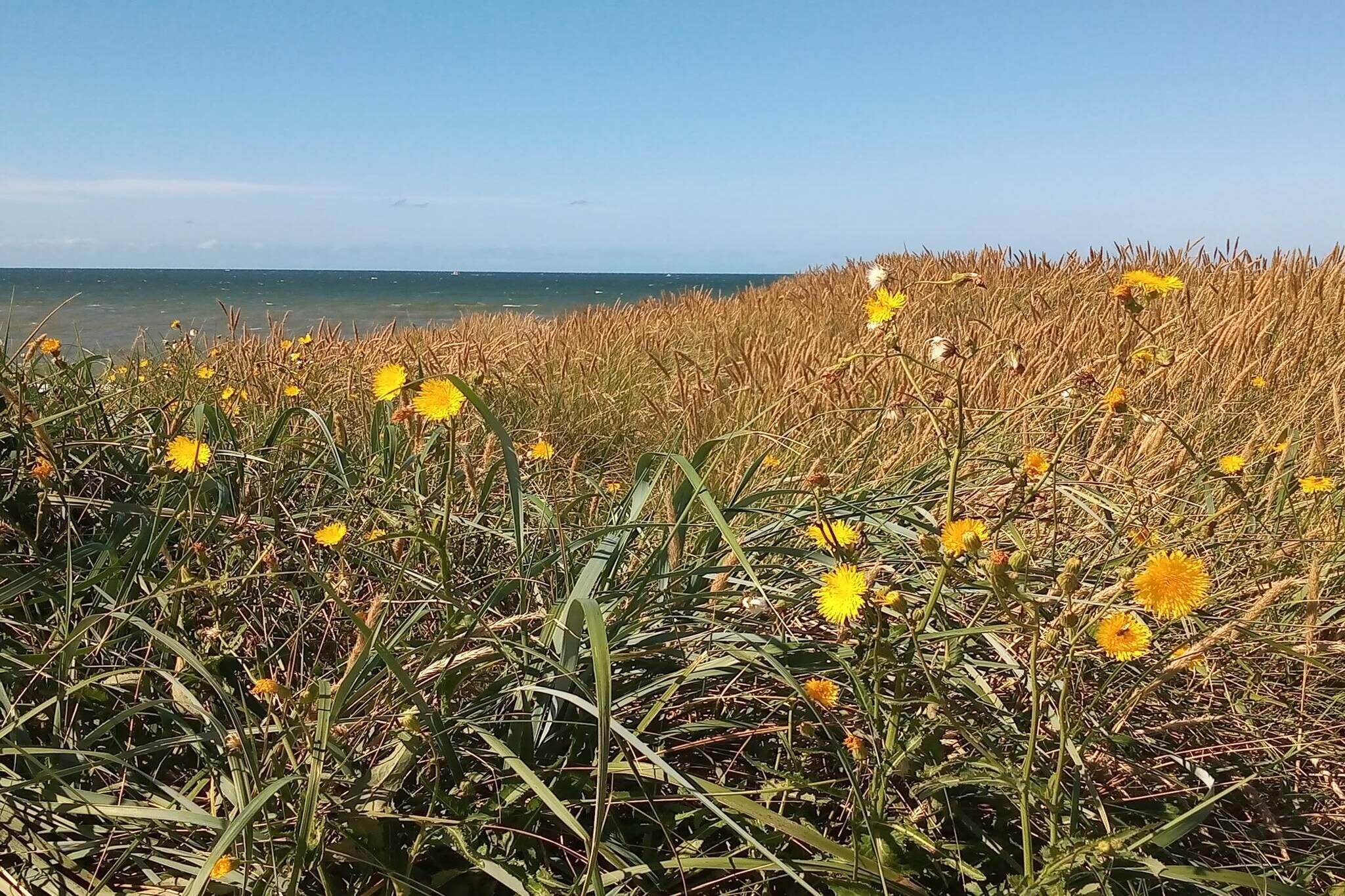 Strandplezier & Ontspanning -- By Traum-Waterzicht