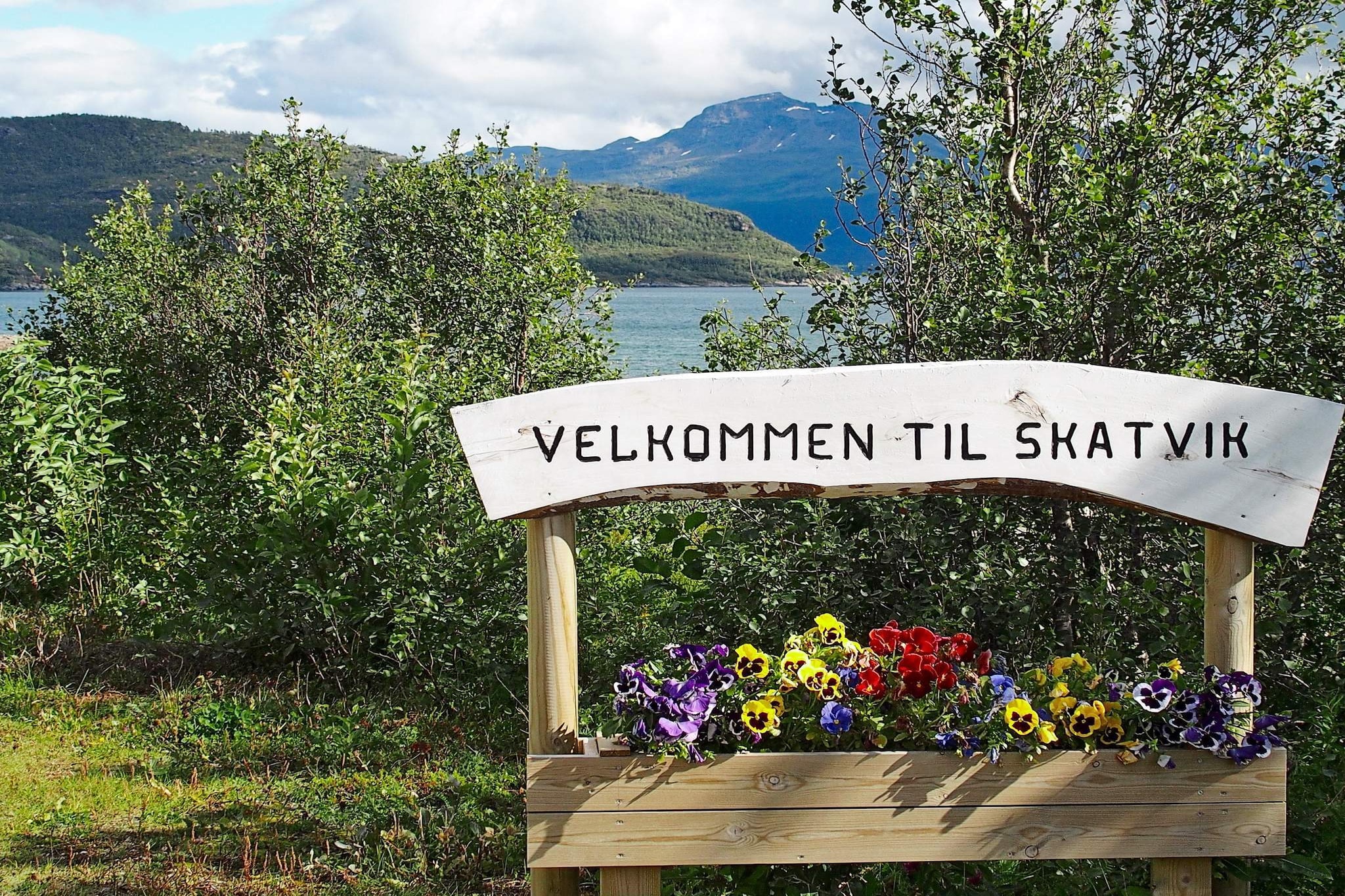 4 Personen Ferienhaus in Skatvik-By Traum - Nicht zugeordnet