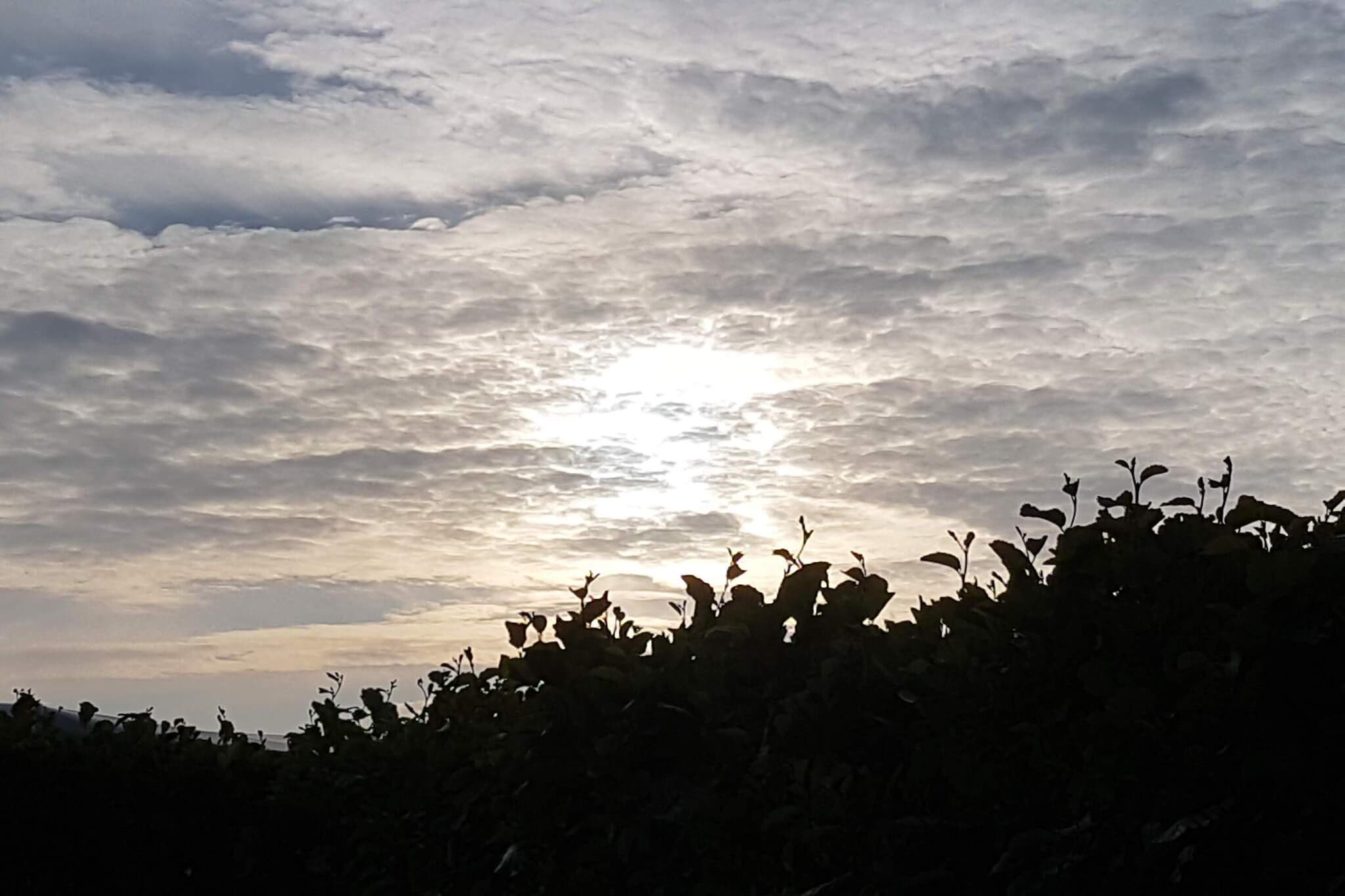 4 persoons vakantie huis in Fanø-By Traum-Niet-getagd