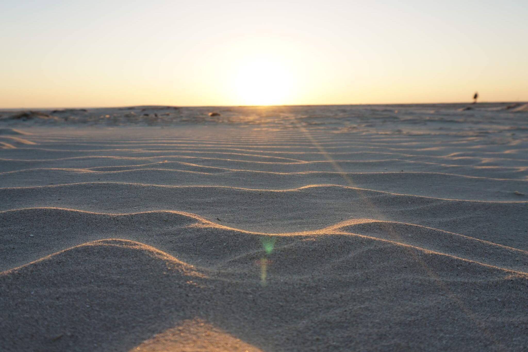 4 persoons vakantie huis in Fanø-By Traum-Niet-getagd