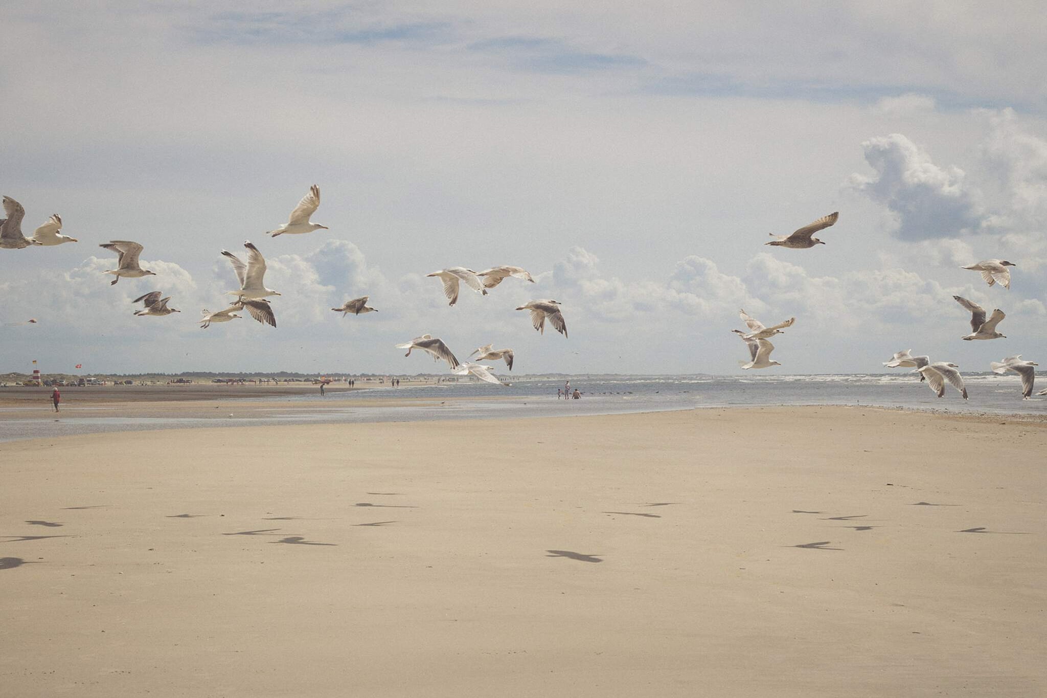 4 persoons vakantie huis in Fanø-By Traum-Waterzicht