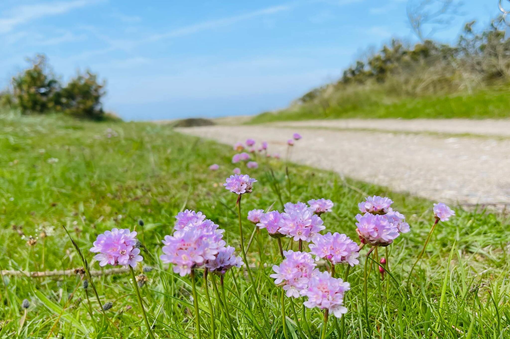 Afgelegen paradijs in Thorup -- By Traum Ferienwohnungen