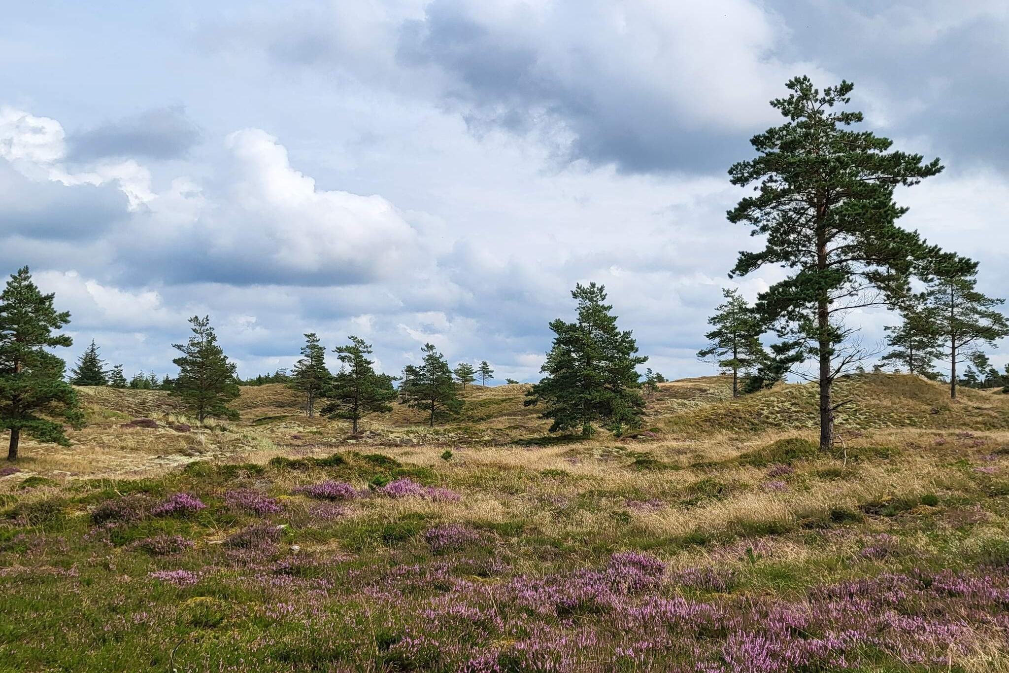 Afgelegen paradijs in Thorup -- By Traum Ferienwohnungen-Niet-getagd