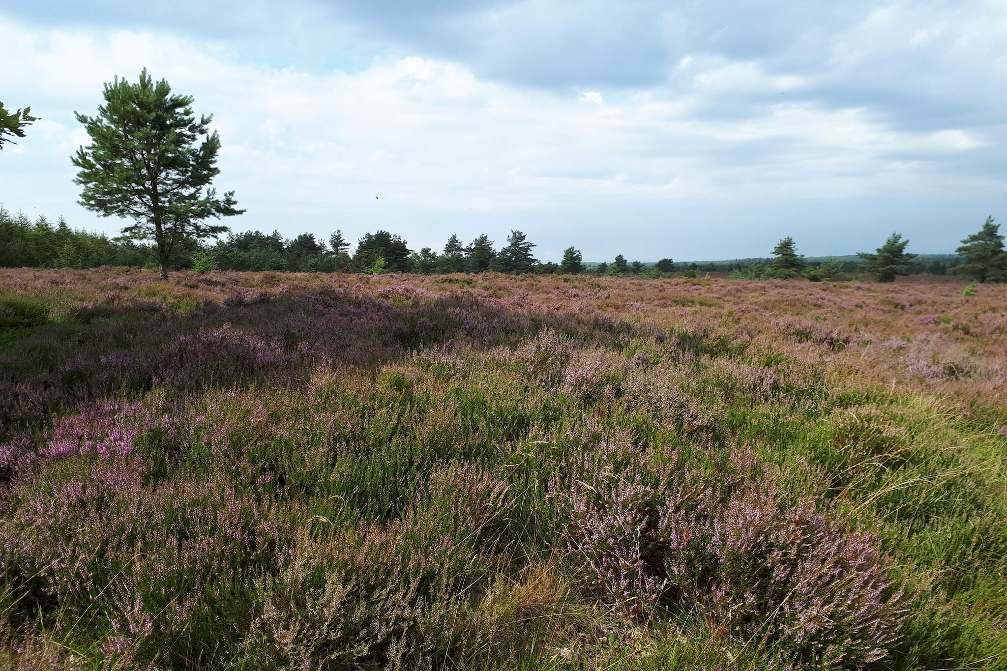 4 persoons vakantie huis in Hovborg-By Traum-Niet-getagd