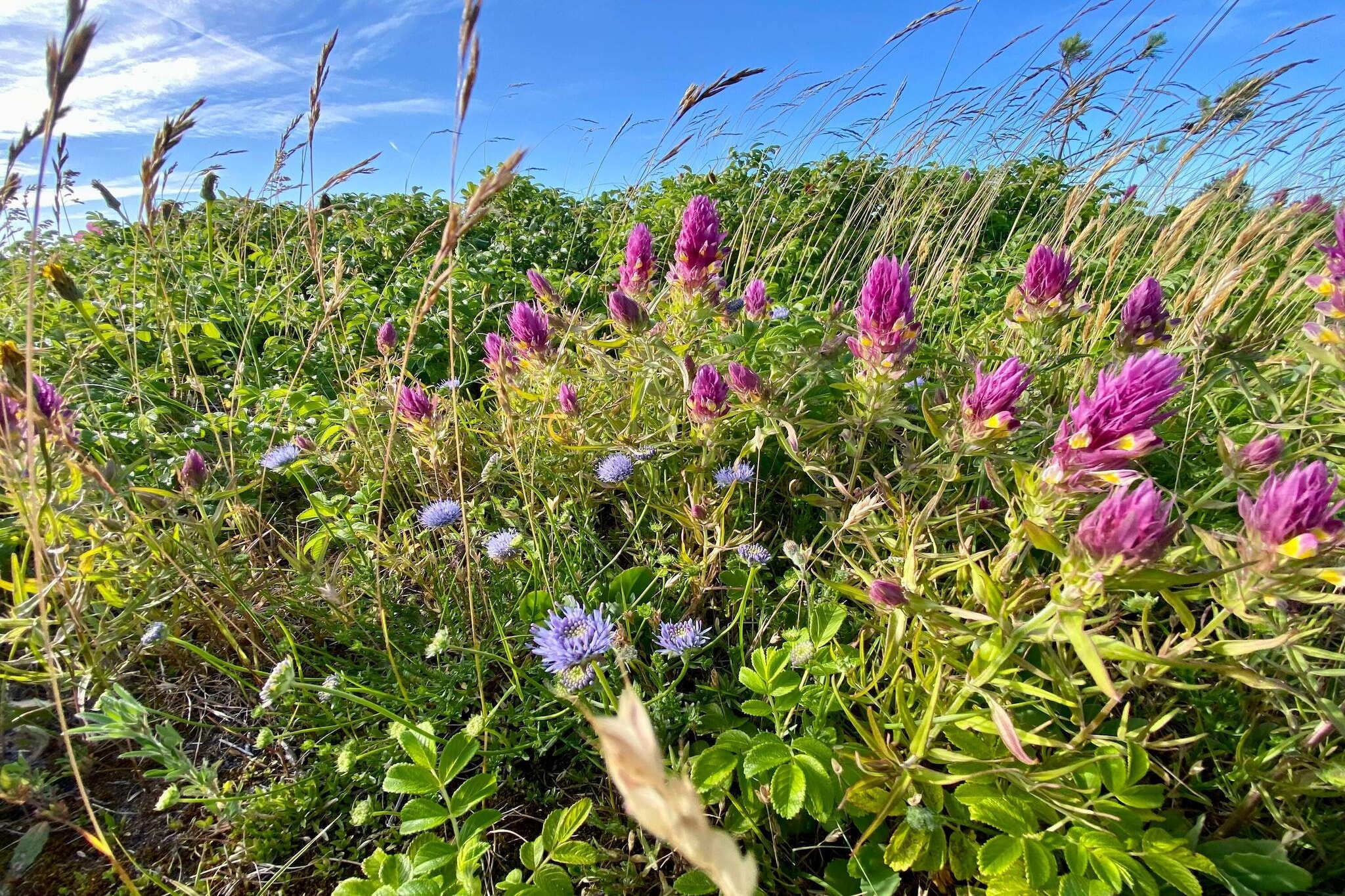 Ruhiger Strand-Ruckzug -- By Traum Ferienwohnungen-Nicht zugeordnet