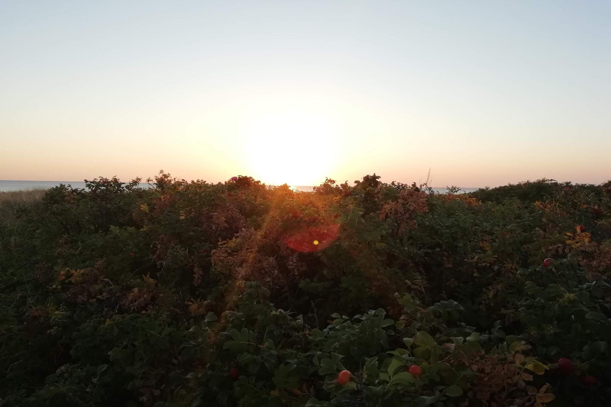 Ruhiger Strand-Ruckzug -- By Traum Ferienwohnungen-Nicht zugeordnet