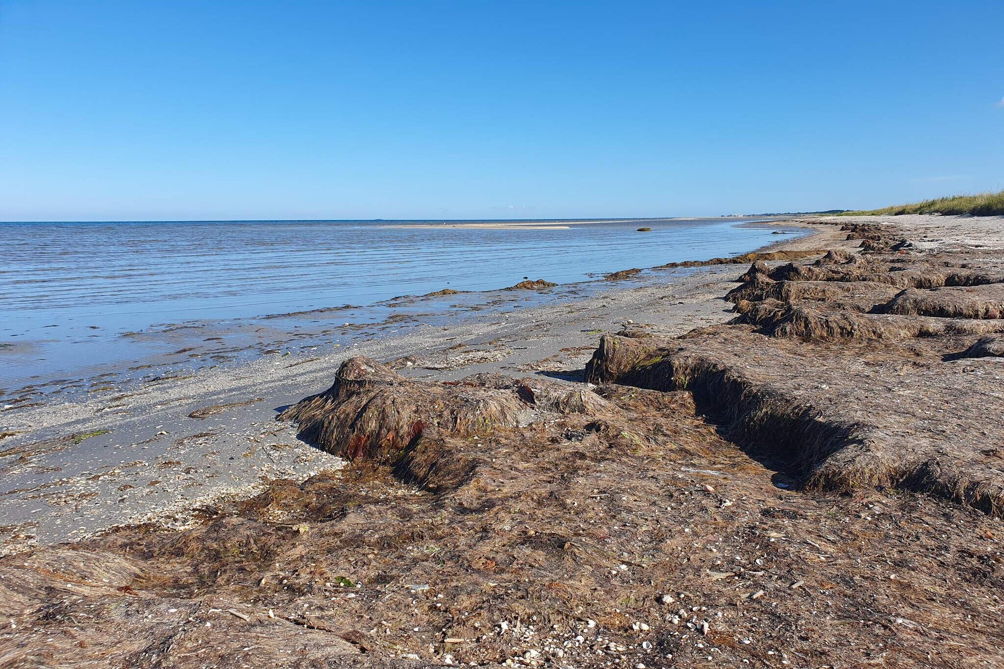 4 person holiday home in Ålbæk-Water view