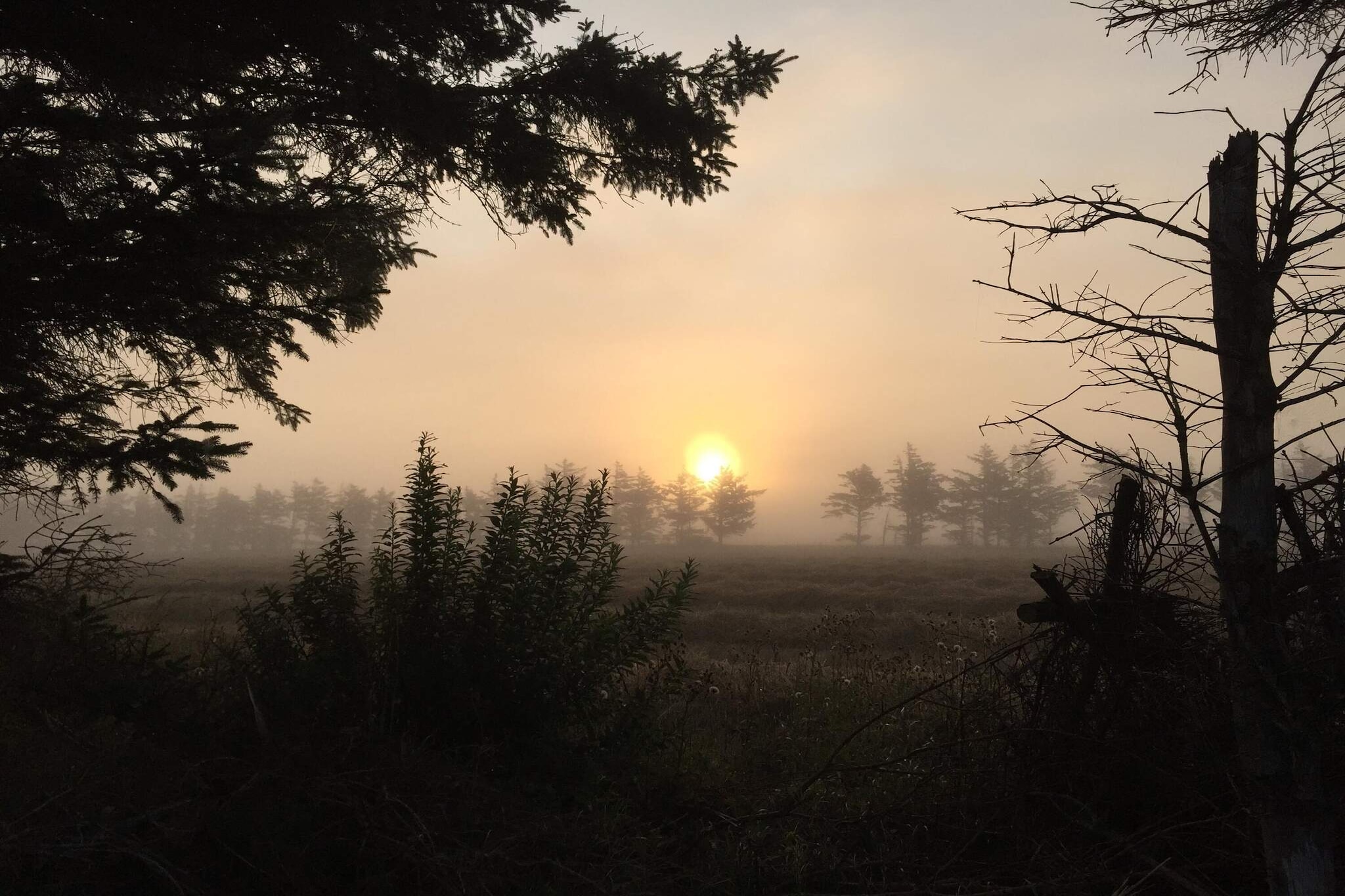 Sfeervol strandhuisje -- By Traum Ferienwohnungen-Niet-getagd