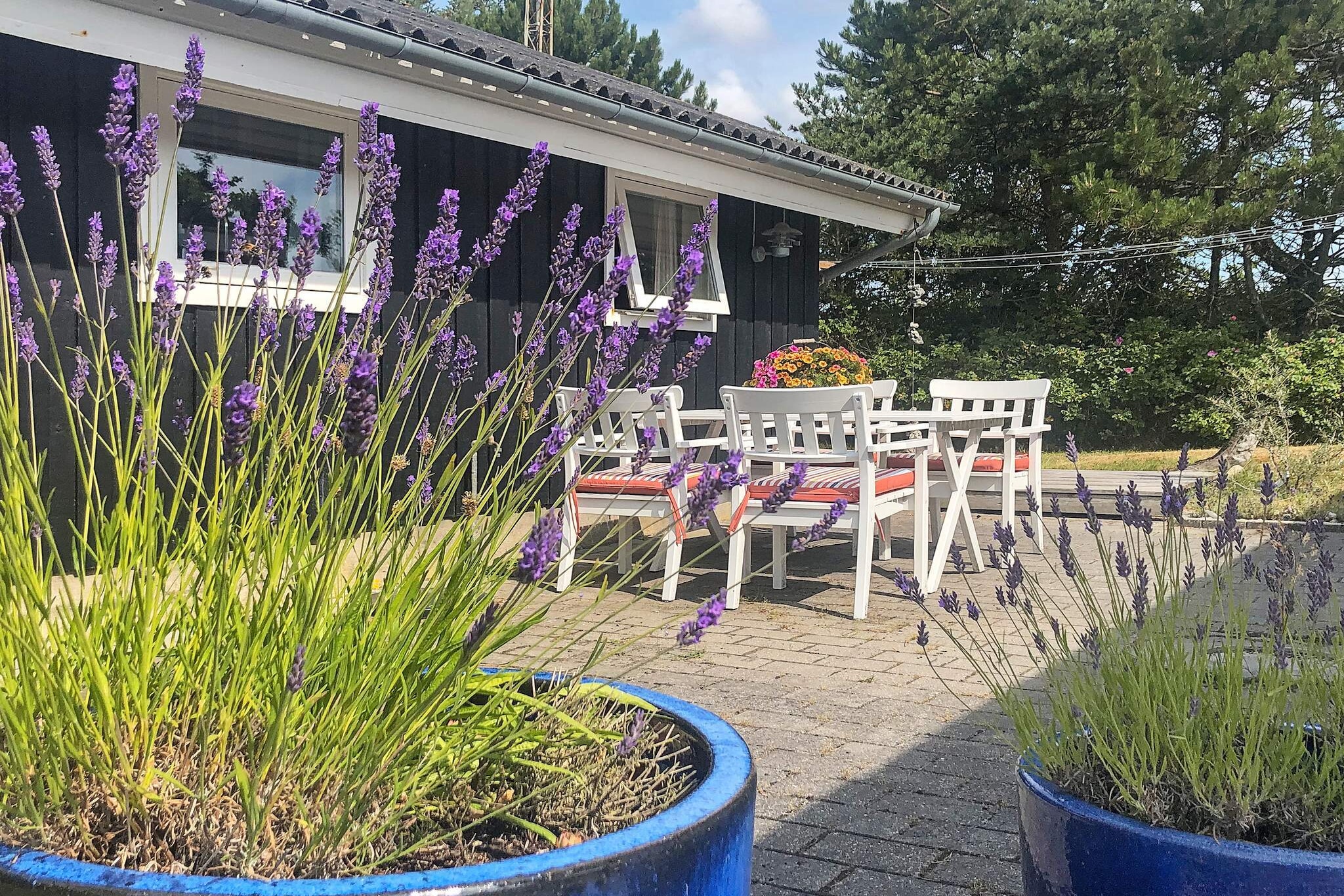 5 Personen Ferienhaus in Blåvand-By Traum