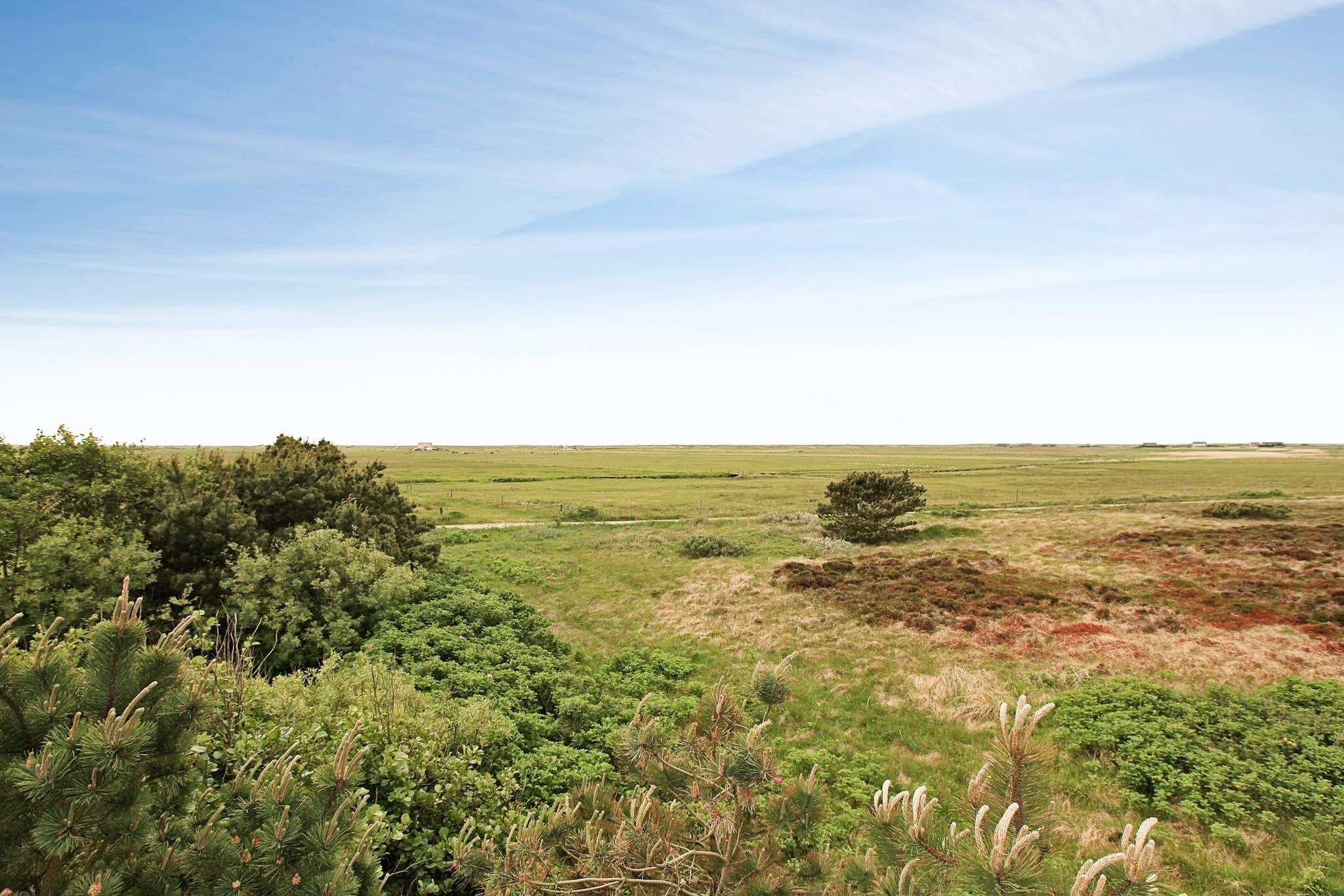 5 Personen Ferienhaus in Blåvand-By Traum - Aussicht