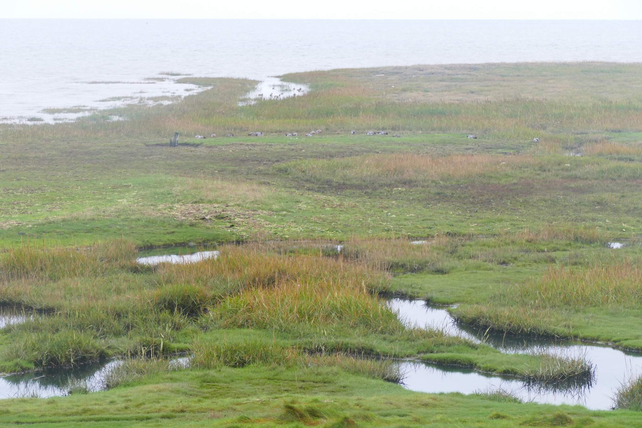 6 persoons vakantie huis in Rømø-Waterzicht