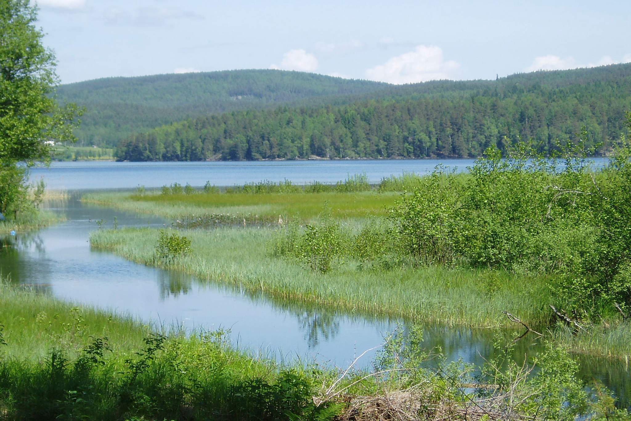 Water View