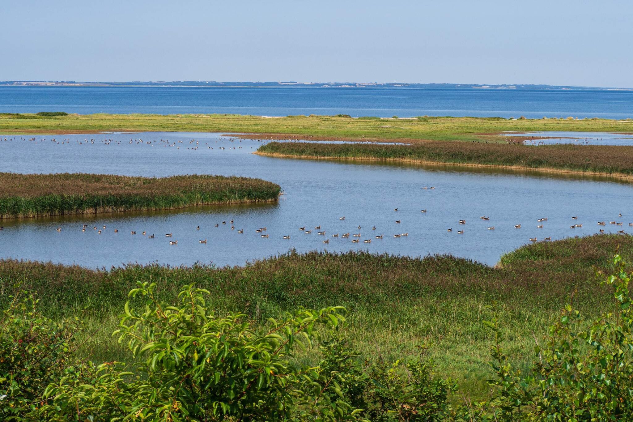 Water View