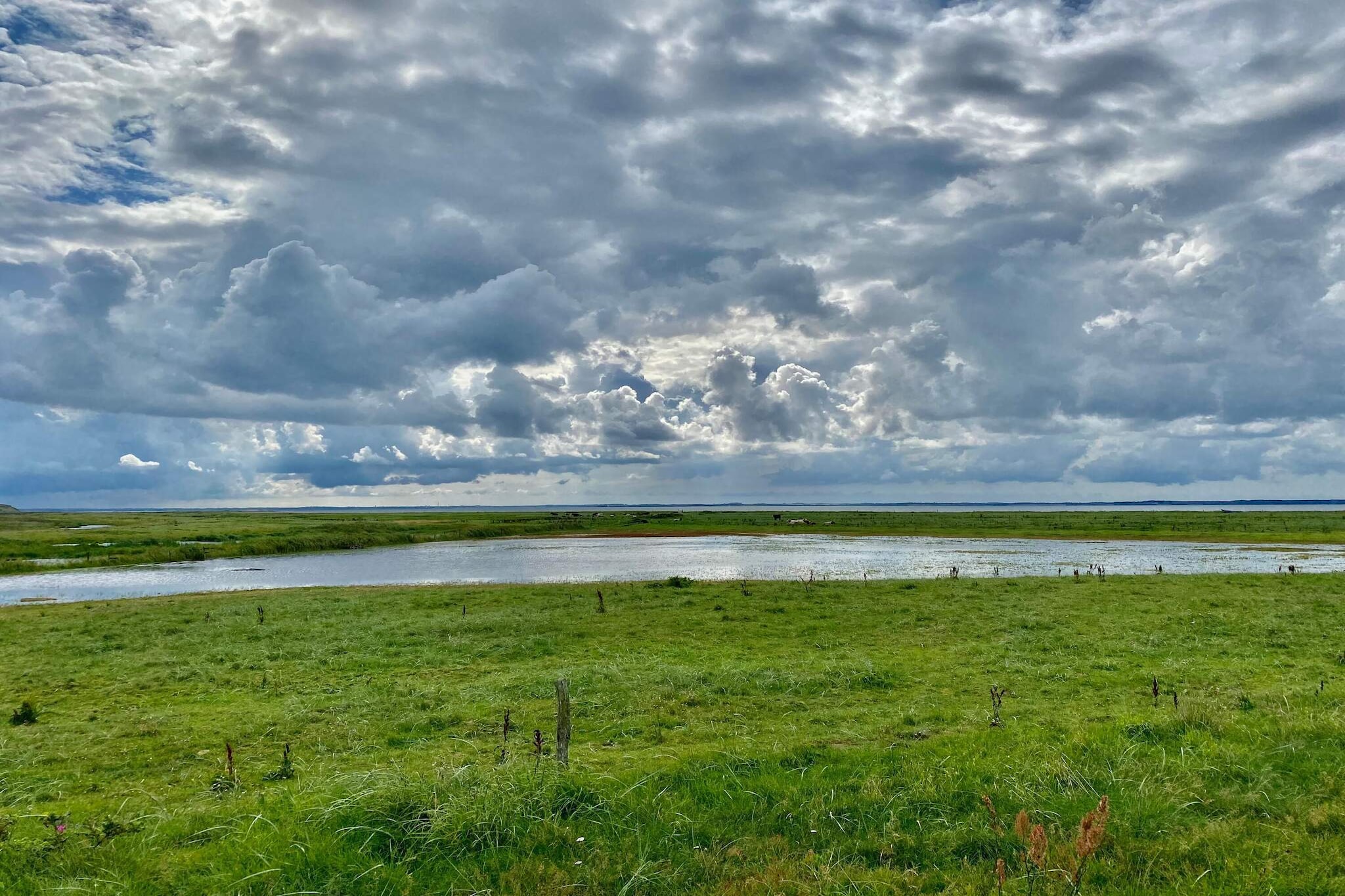 Water View