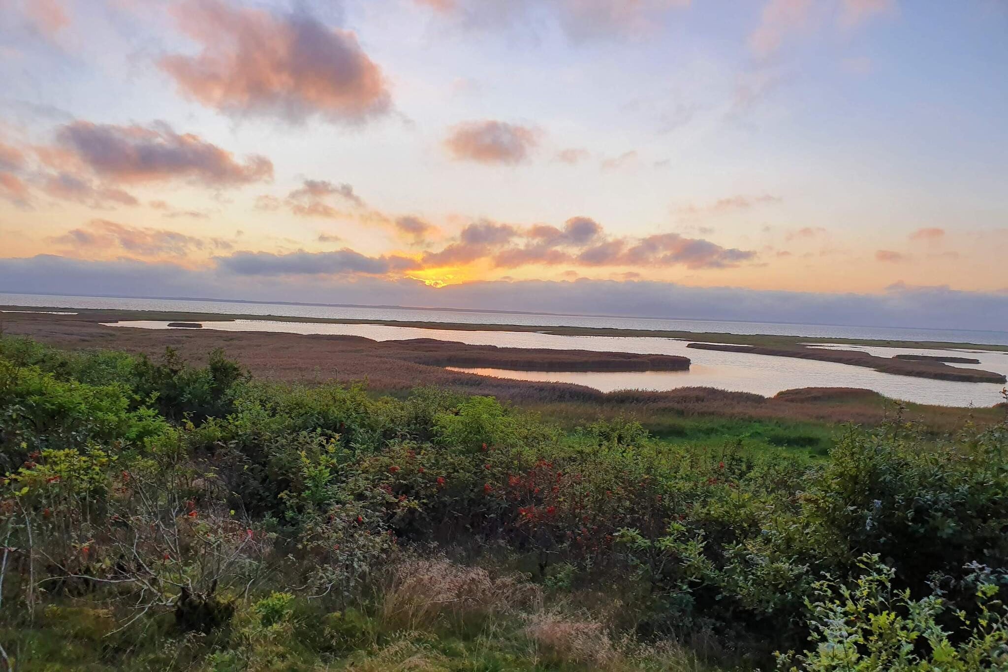 6 persoons vakantie huis in Vinderup-By Traum - Waterzicht