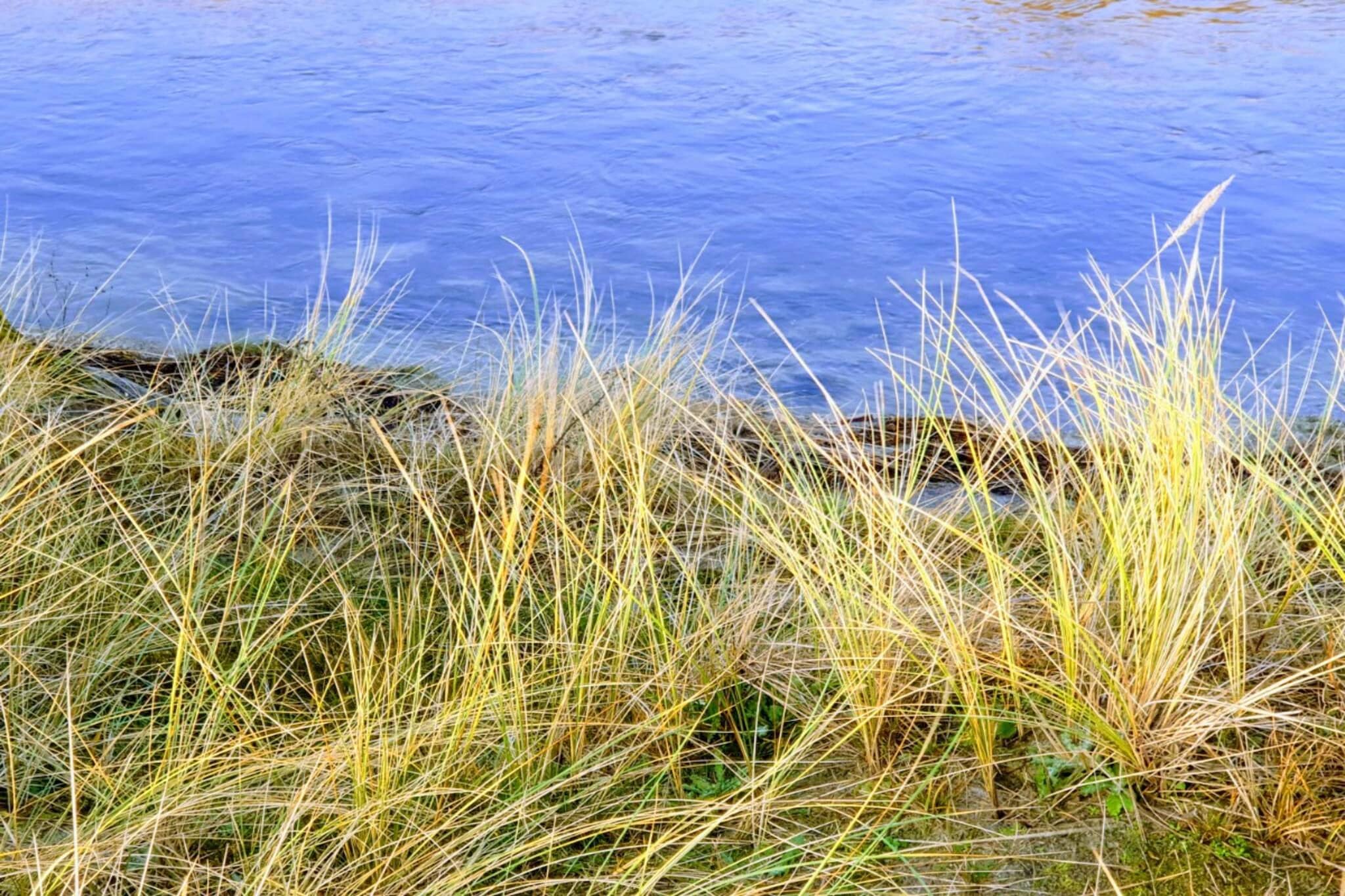 6 Personen Ferienhaus in Store Fuglede-By Traum-Wasserblick
