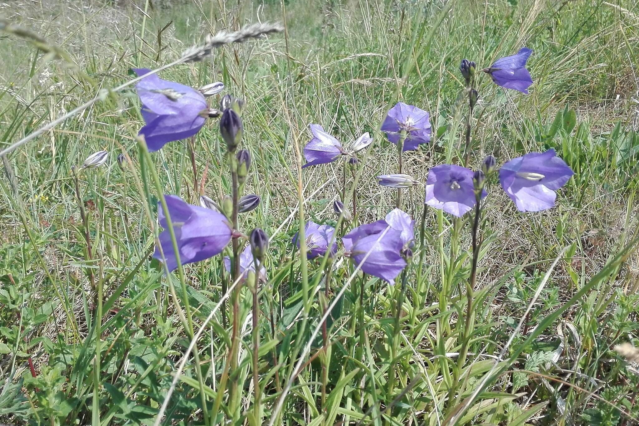 6 persoons vakantie huis in Nykøbing Sj-By Traum-Niet-getagd