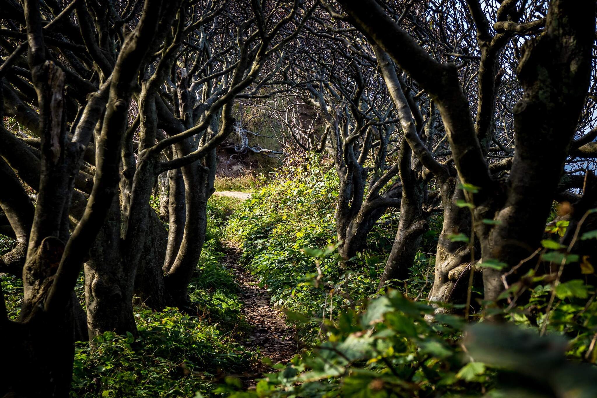 6 persoons vakantie huis in Nykøbing Sj-By Traum-Niet-getagd