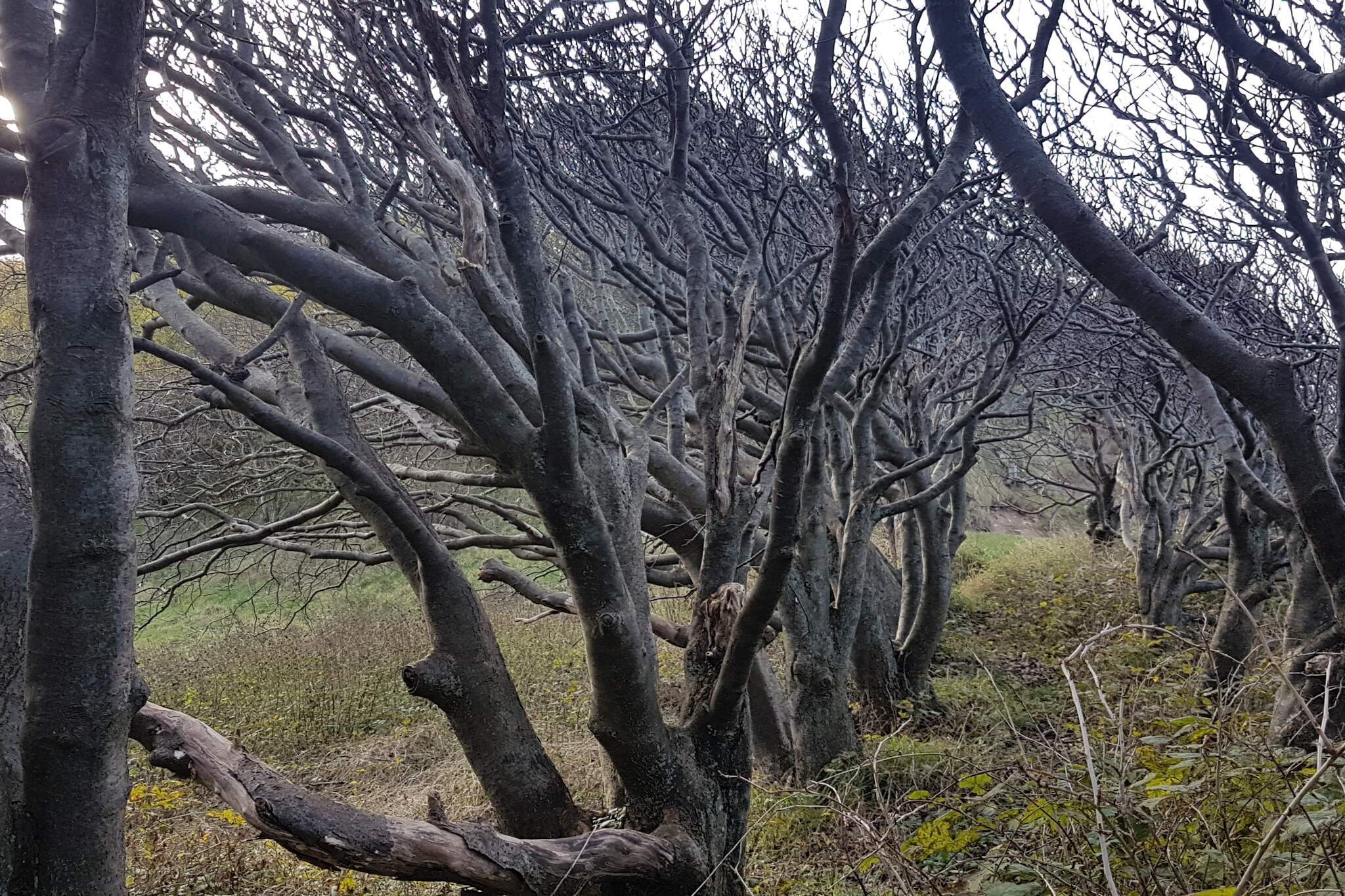 6 persoons vakantie huis in Nykøbing Sj-By Traum-Waterzicht