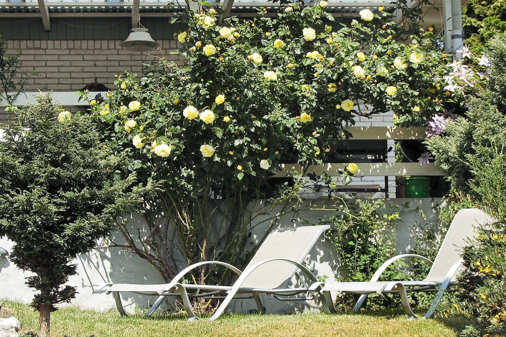 6 persoons vakantie huis in Nykøbing Sj-By Traum - Uitzicht
