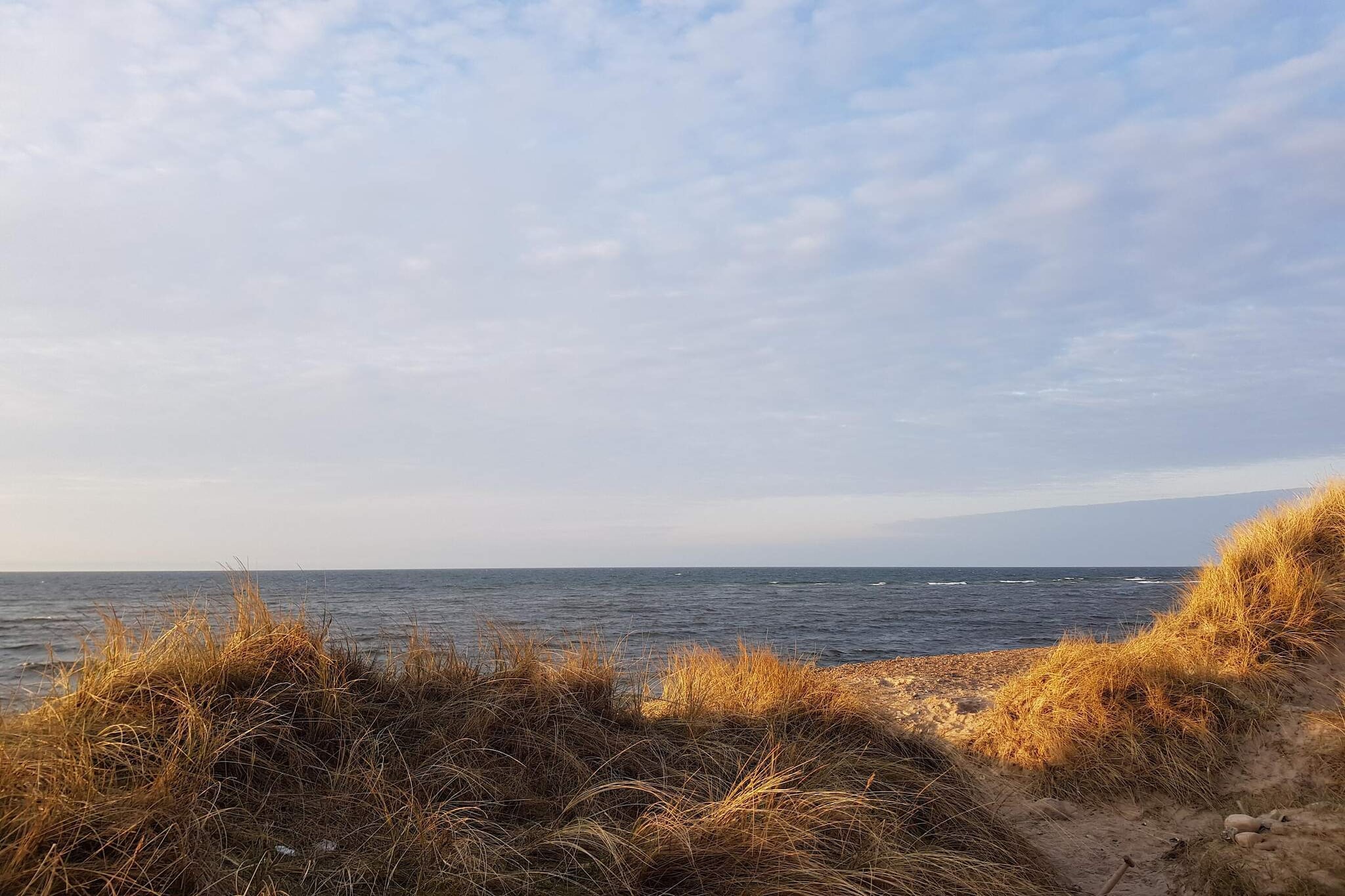 8 persoons vakantie huis in Frøstrup-By Traum-Waterzicht