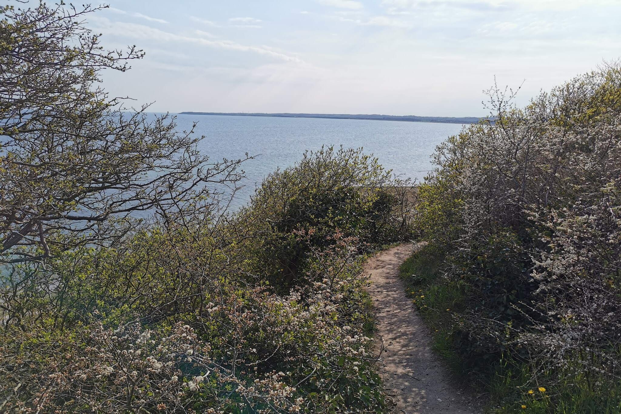 8 persoons vakantie huis in Ebeltoft-By Traum - Waterzicht