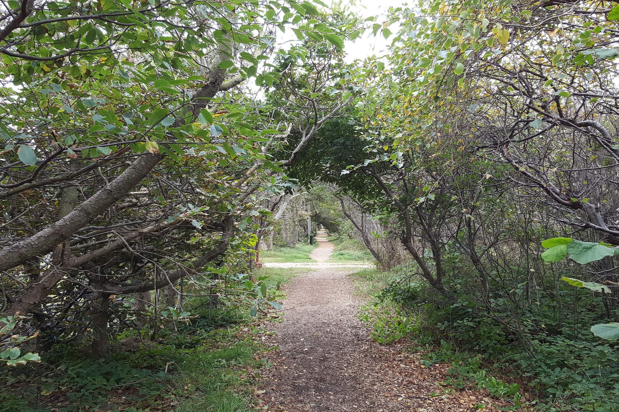 Surfparadijs in Klitmoller -- By Traum Ferienwohnungen-Niet-getagd