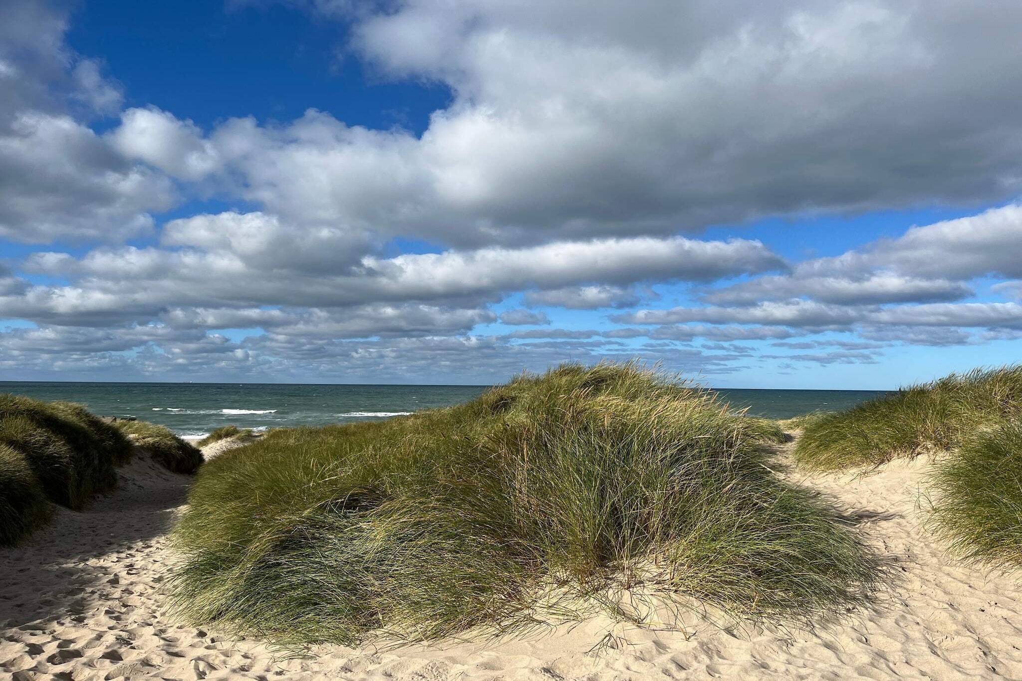 Surfparadijs in Klitmoller -- By Traum Ferienwohnungen-Niet-getagd