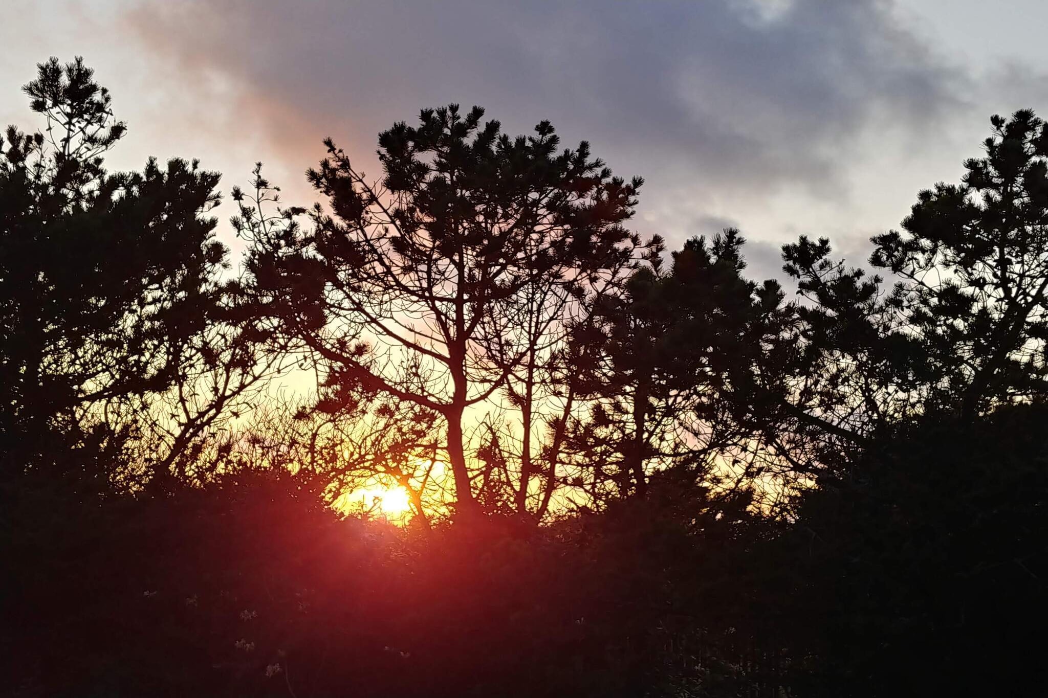 Surfparadijs in Klitmoller -- By Traum Ferienwohnungen-Niet-getagd