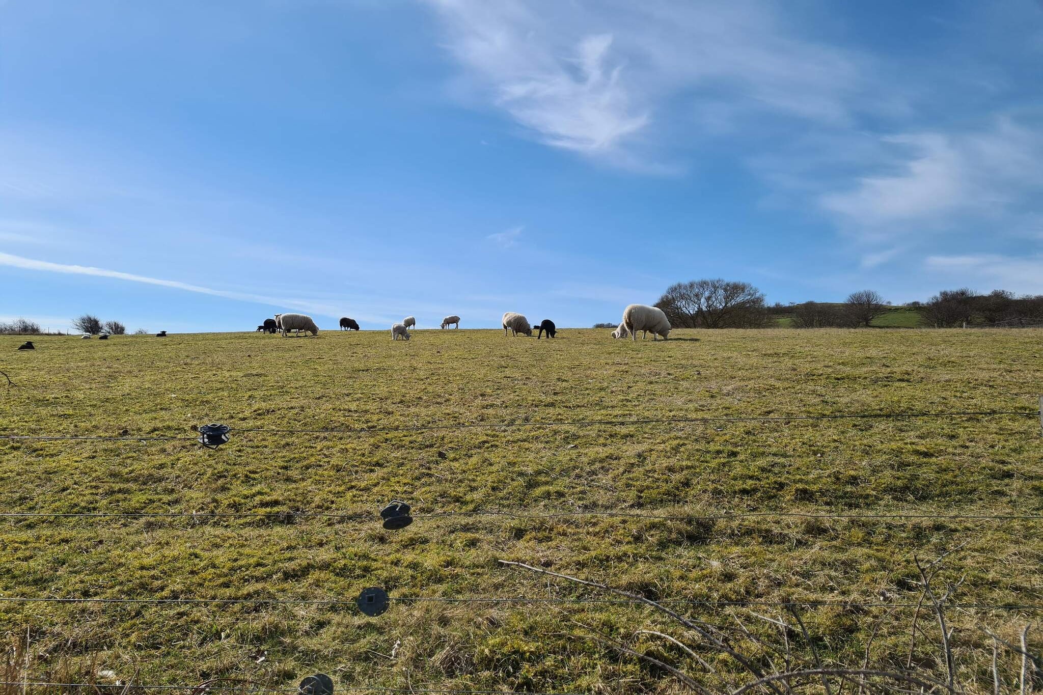 4 persoons vakantie huis in Martofte-By Traum