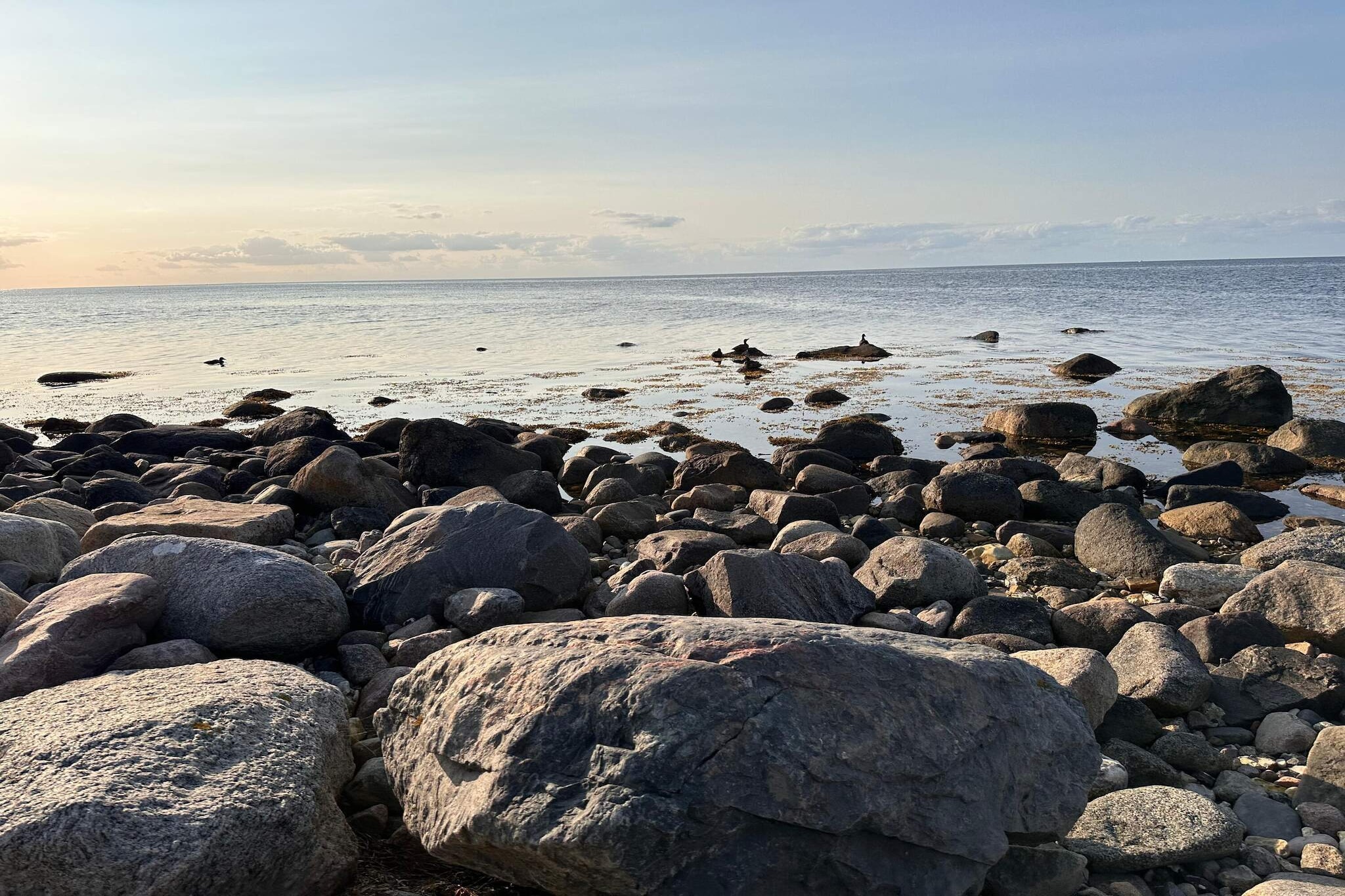 4 persoons vakantie huis in Martofte-By Traum-Waterzicht