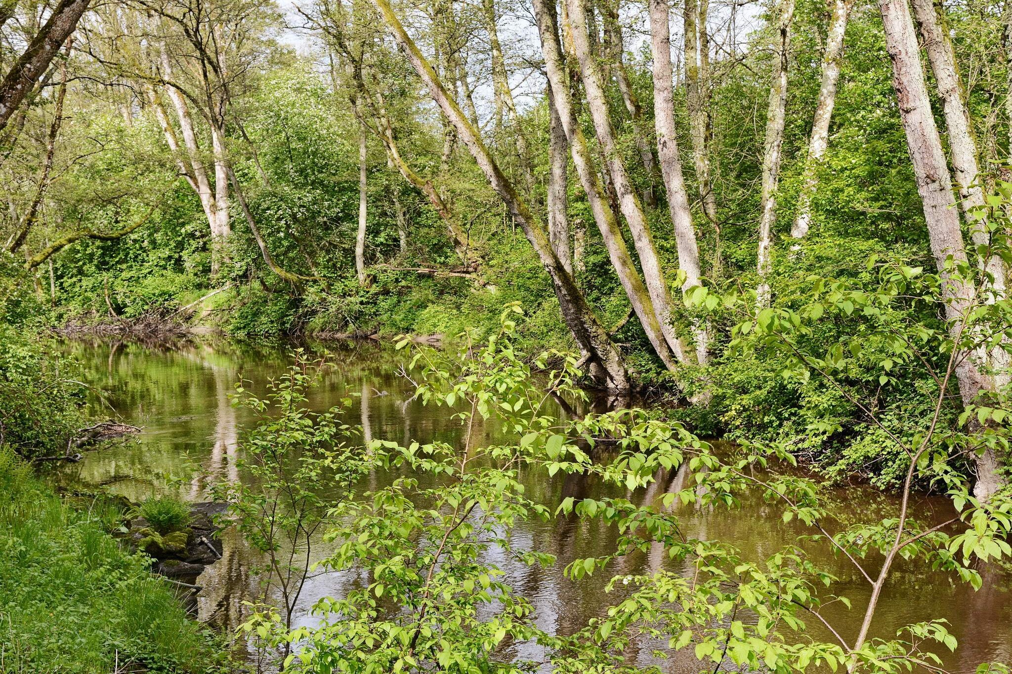 Sommerhus Frillesås