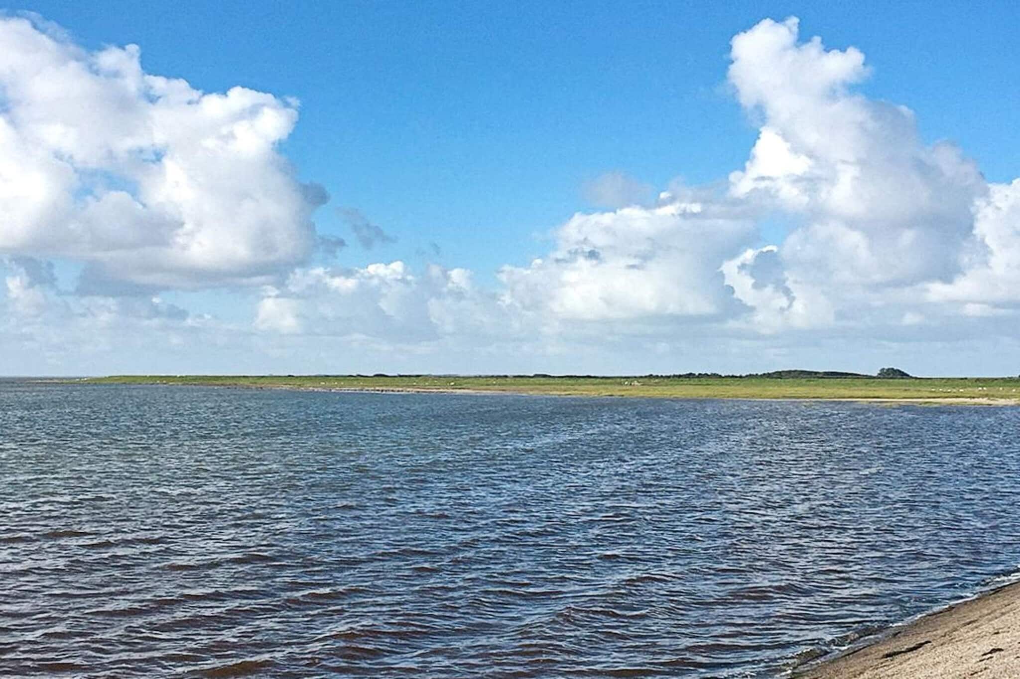 An exclusive and architectural designed holiday cottage of high quality materials, and whirlpool for 2 persons and sauna. The house is bright and spacious and has 2 bathrooms, whereas one of them has the spa facilities. The functional kitchen is equipped with all you need of domestic appliances and has an open connection to the dining section and living room. From here you can access the south/west facing terrace of wooden materials. There is galvanized table with granite table top + 6 chairs with seat cushions + 2 sunbeds with cushion There is an outdoor kitchen by the terrace. All rooms have a high-beamed ceiling and there is a great inflow of light all over. There is plenty of closet space in all rooms. The house is within walking distance of a golf course. There are wide doors without doorsteps, making this a wheelchair friendly house.A refundable deposit might be charged closer to your check-in date. The security deposit ensures a smooth stay and covers any additional services or consumption charges.This deposit covers utilities consumed during your stay and any additional services that may be taken.The final amount will be adjusted based on actual meter readings, actual usage of extra services, and any remaining balance will be refunded within 21 days after checkout.This deposit simply acts as a prepayment for charges that  you would anyways pay for, ensuring a seamless stay and check-out experience.