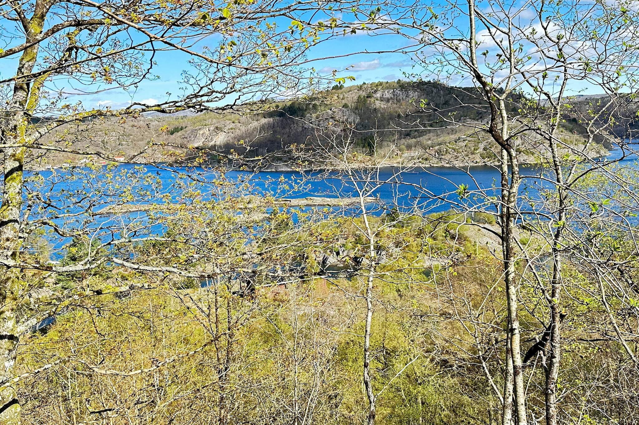 Water View