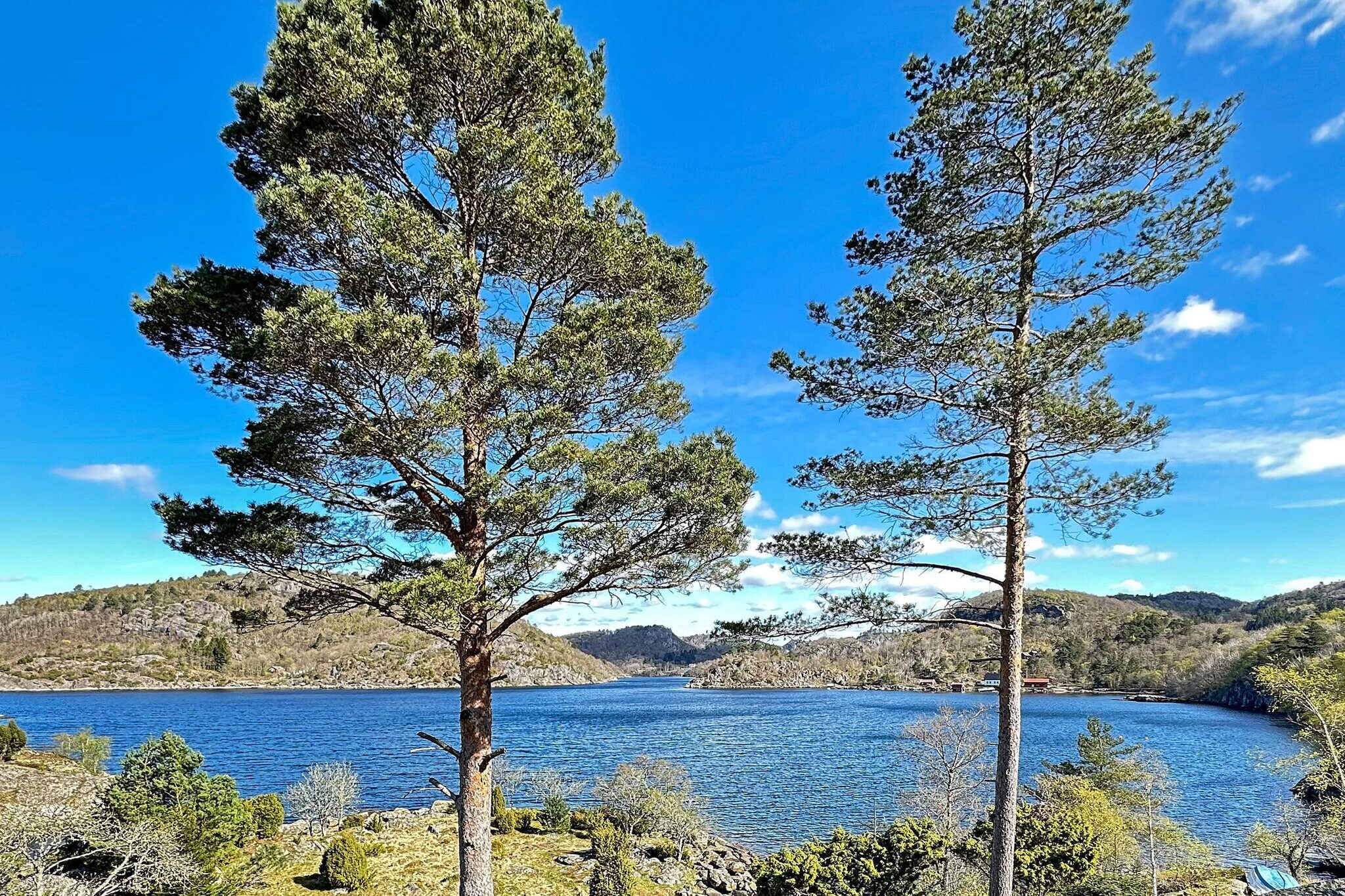 Water View