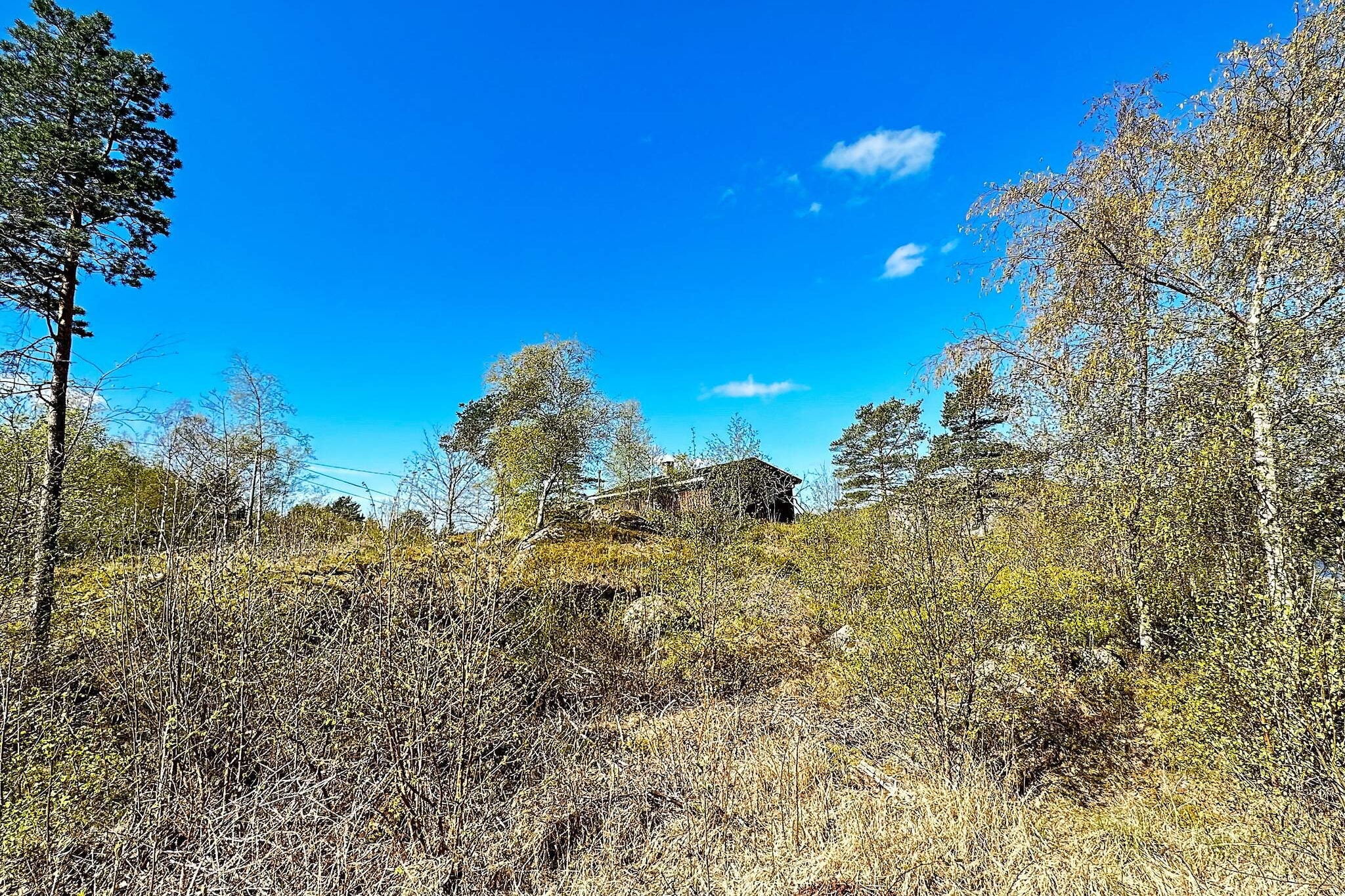 HUS 55768  HYTTE D