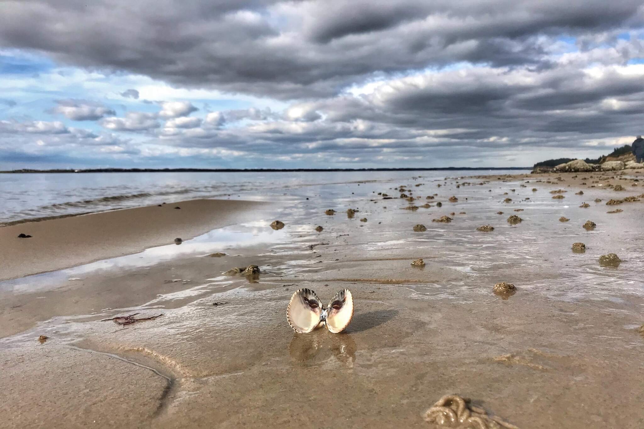 Modern toevluchtsoord bij Knud Strand -- By Traum Ferienwohnungen-Waterzicht