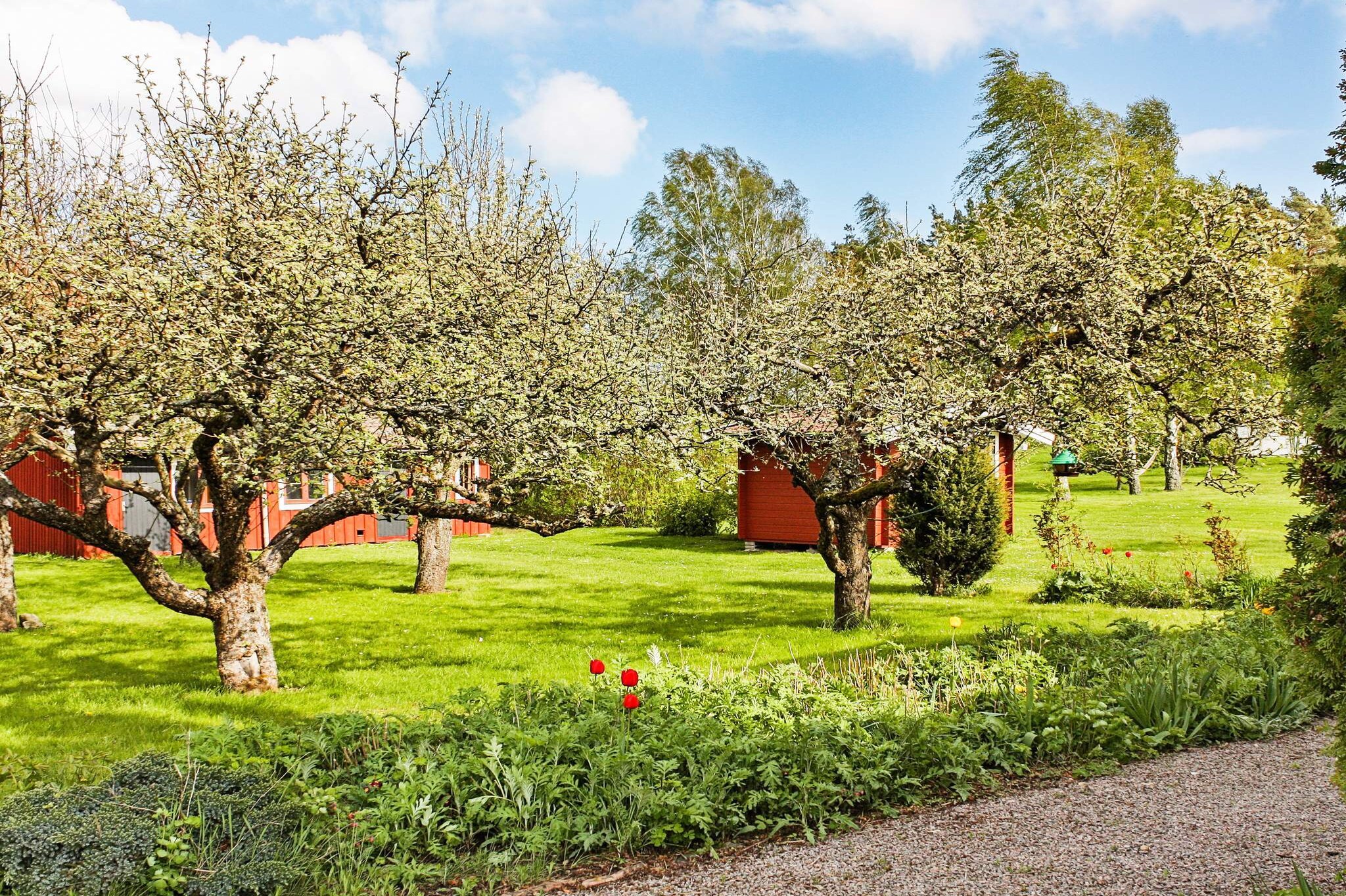 4 persoons vakantie huis in SÖDERÅKRA-By Traum