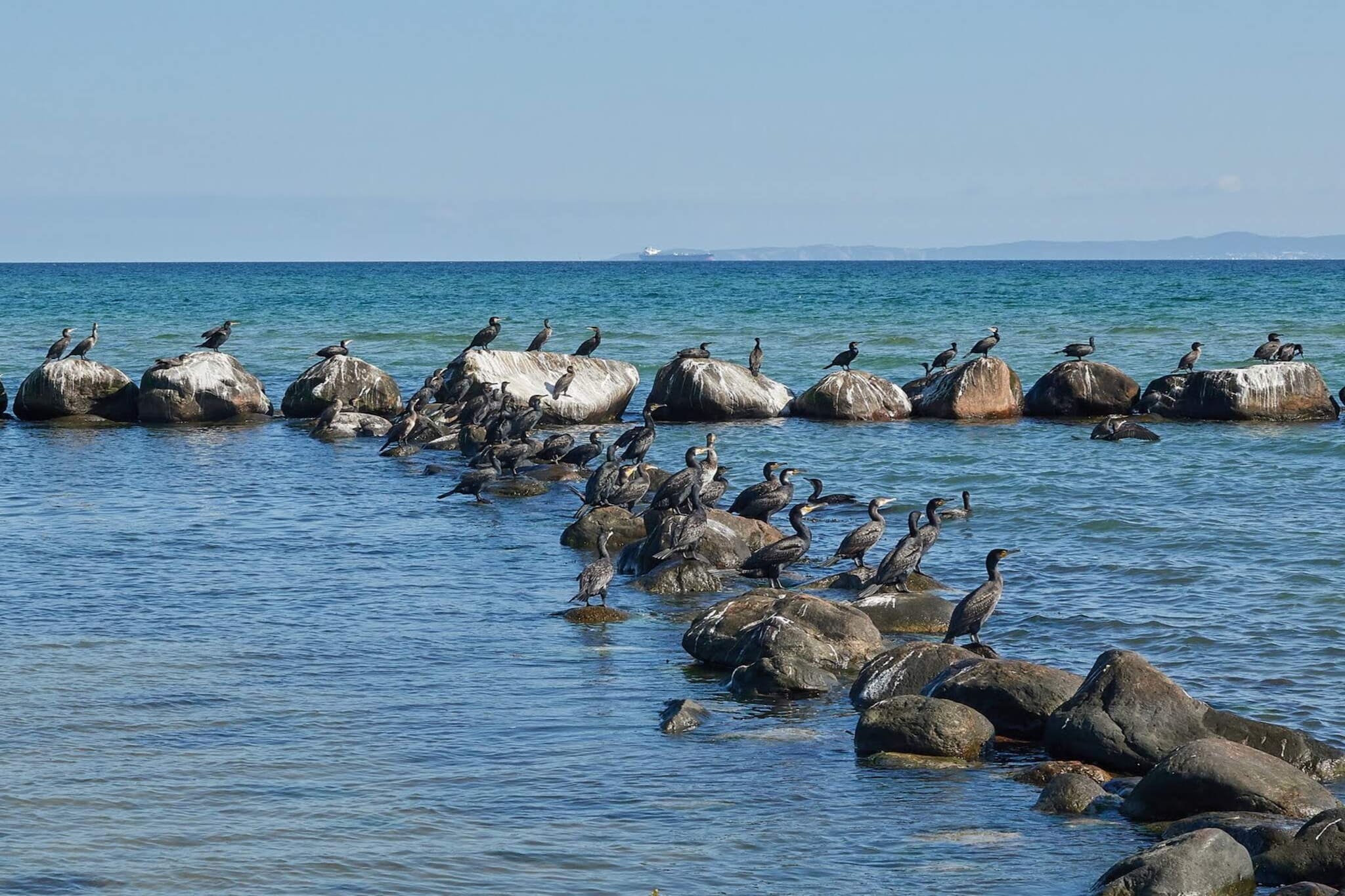 6 persoons vakantie huis in Gilleleje-By Traum-Waterzicht