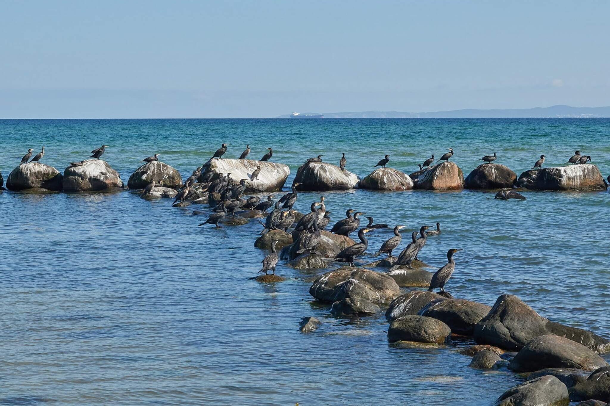 6 persoons vakantie huis in Gilleleje-By Traum - Waterzicht