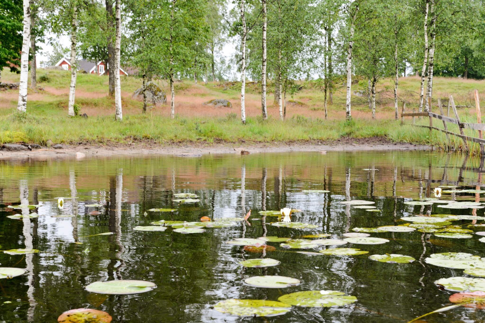 6 persoons vakantie huis in LÅNGARYD-By Traum - Waterzicht