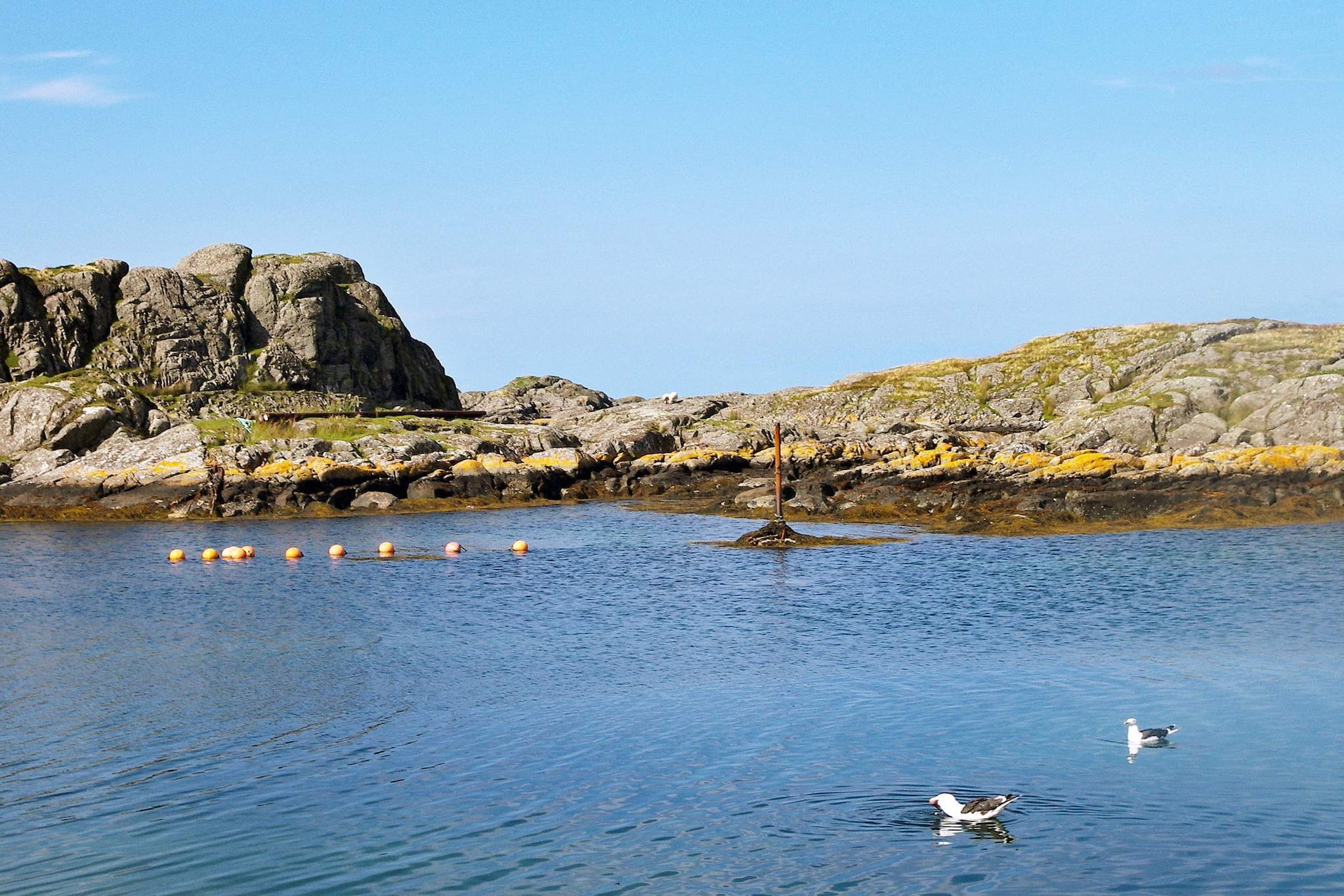Maison de vacances pour 6 a Leirvik i Sogn - Non tagué