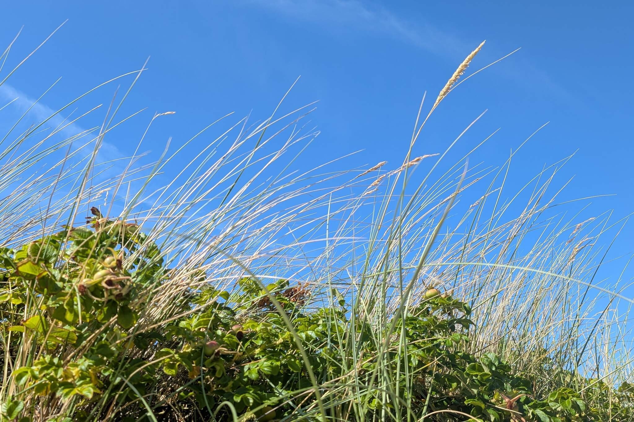 Luxe retraite in Liseleje -- By Traum Ferienwohnungen-Niet-getagd