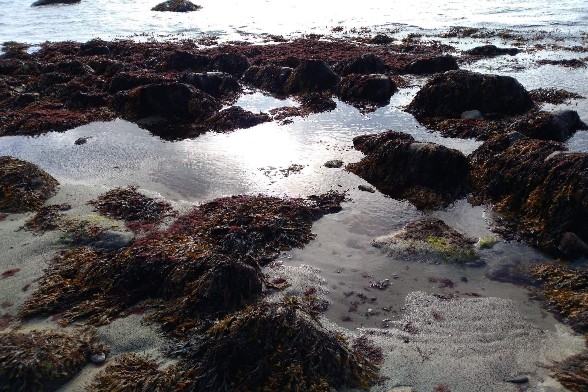 Seaside Retreat with Spa - By Traum Ferienwohnungen-Water view