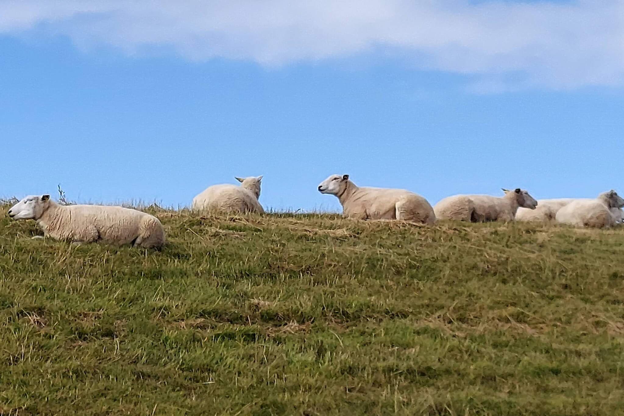 Moderne kusttoevlucht -- By Traum Ferienwohnungen-Niet-getagd