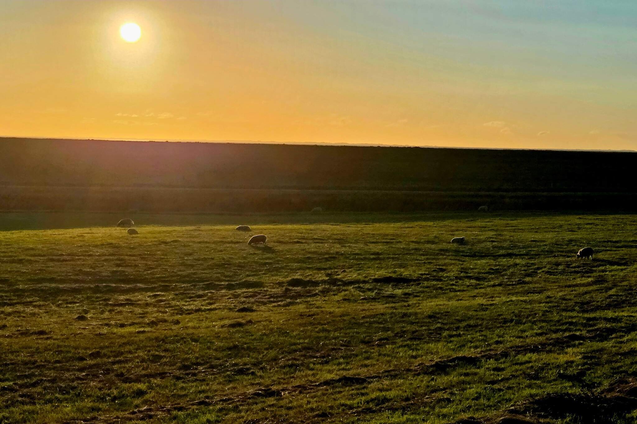 Moderne kusttoevlucht -- By Traum Ferienwohnungen-Niet-getagd