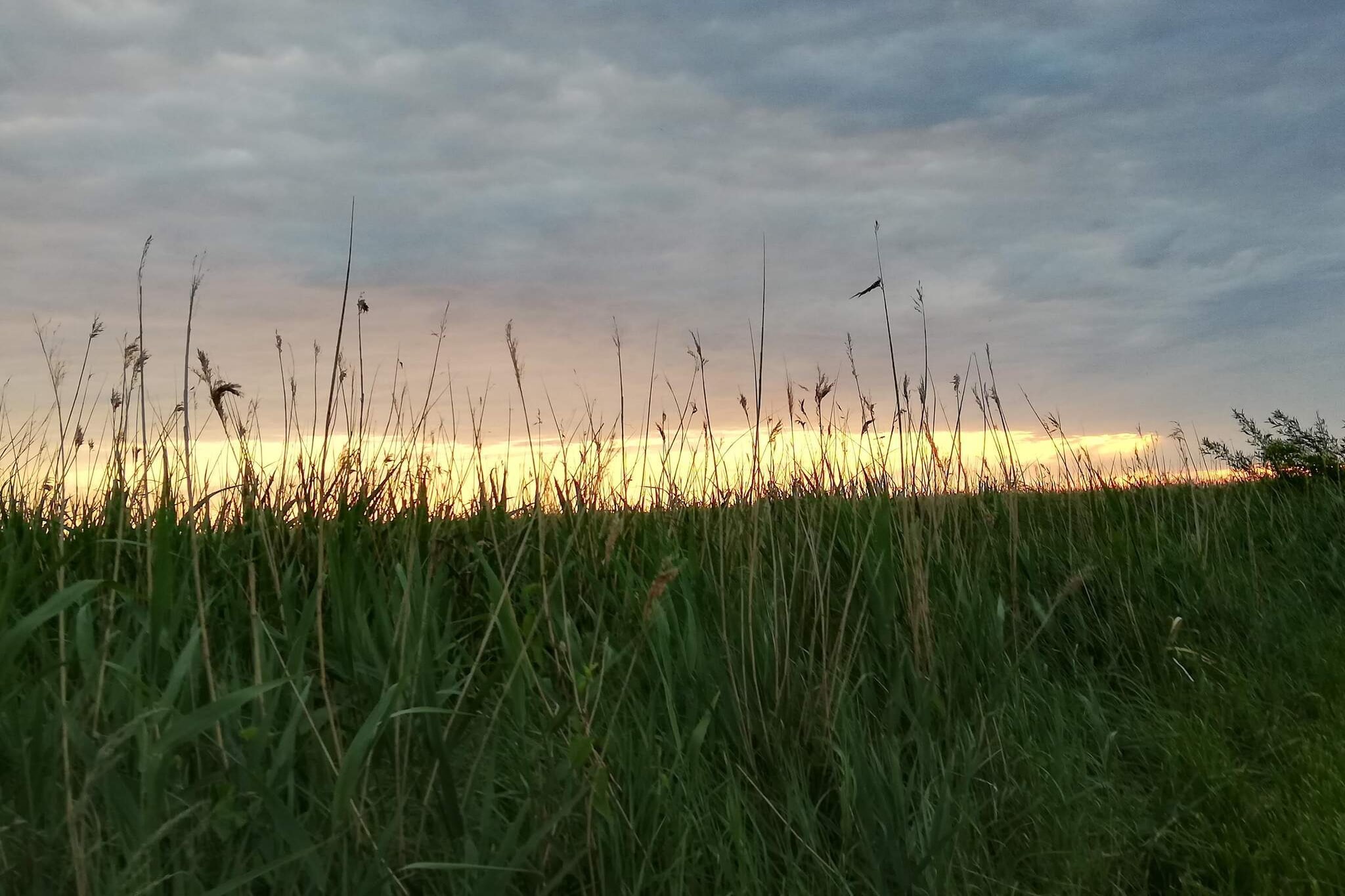 Moderne kusttoevlucht -- By Traum Ferienwohnungen-Niet-getagd