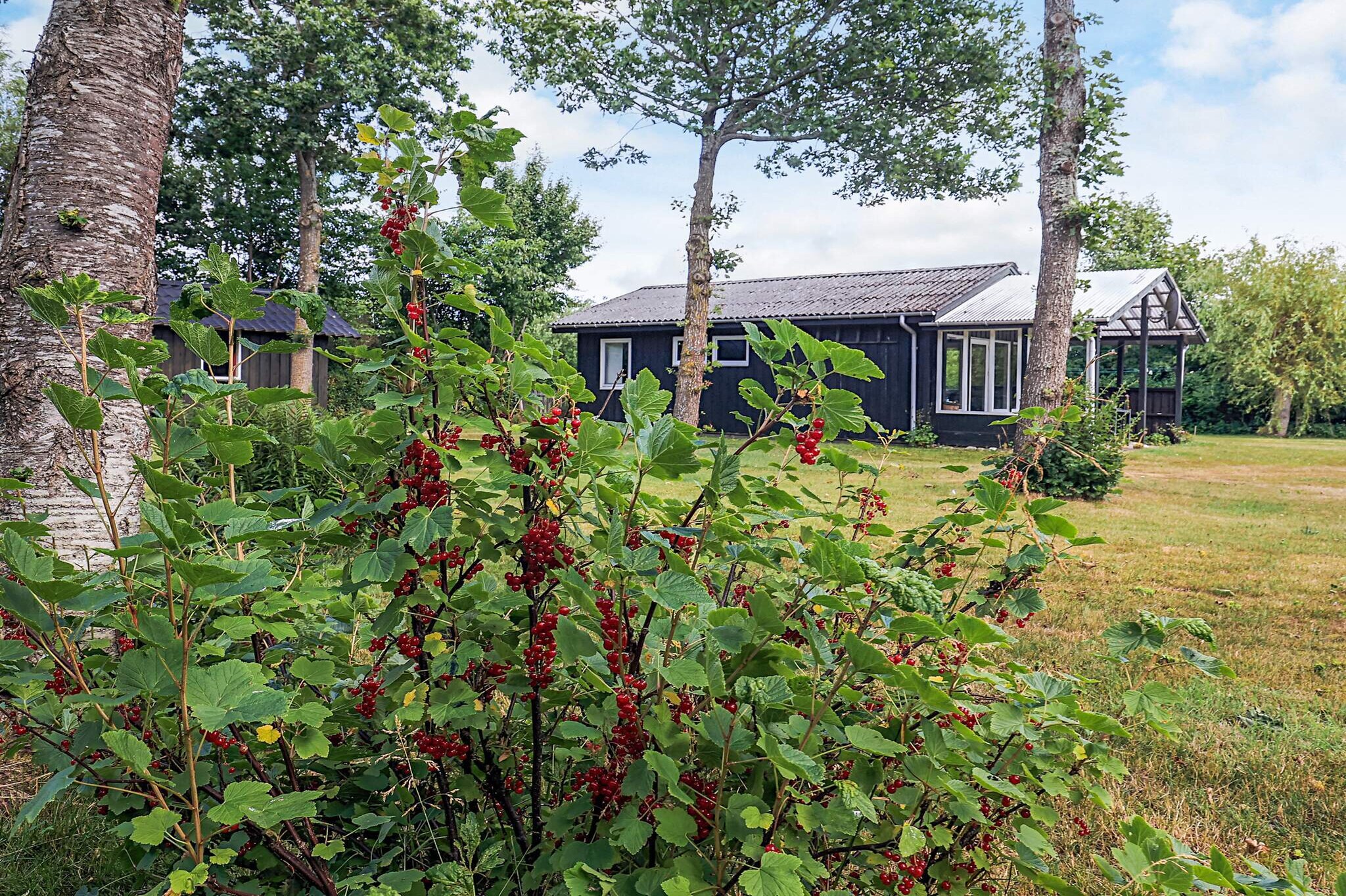 2 persoons vakantie huis in Thyholm-By Traum-Buitenlucht