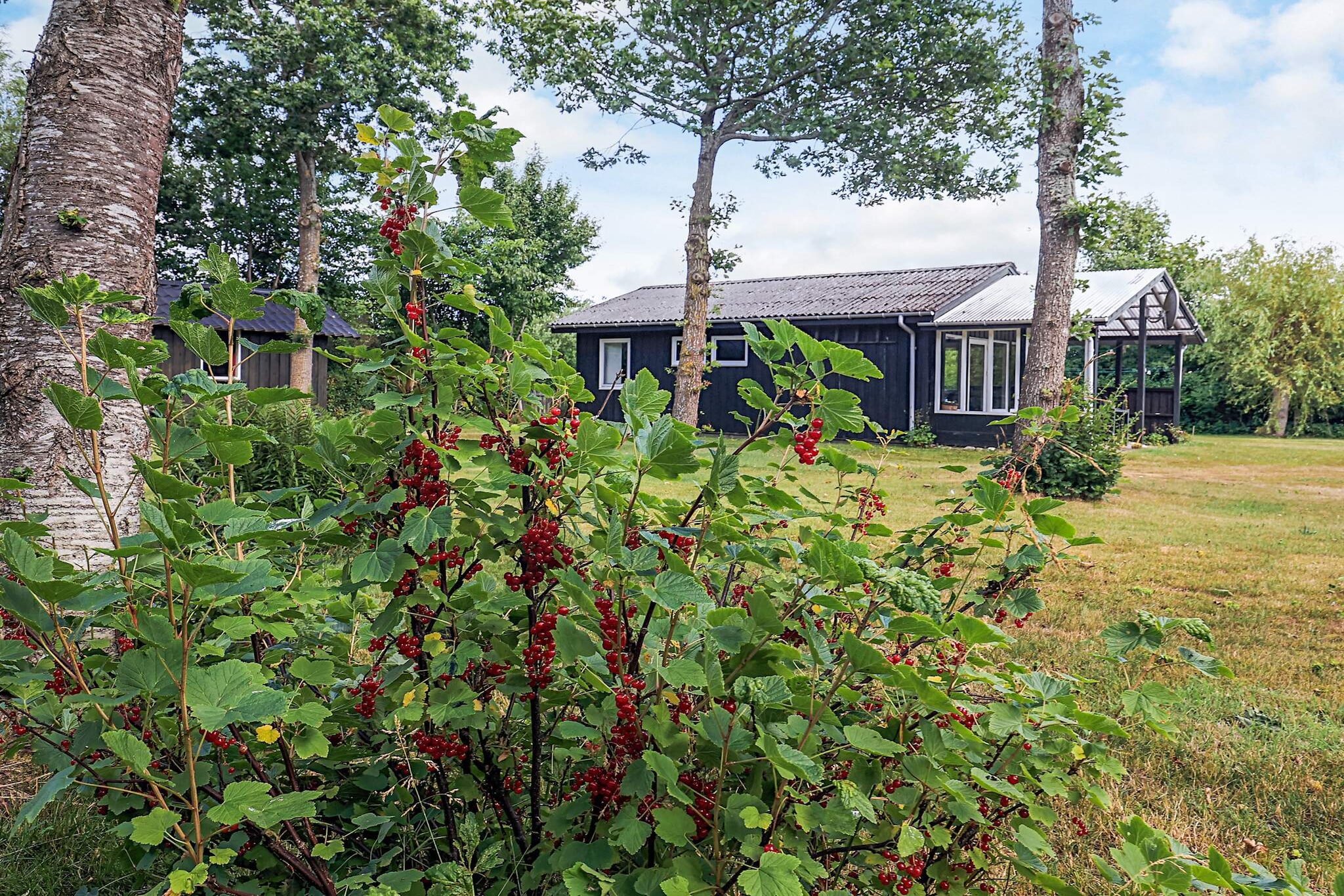 2 persoons vakantie huis in Thyholm-By Traum - Buitenlucht