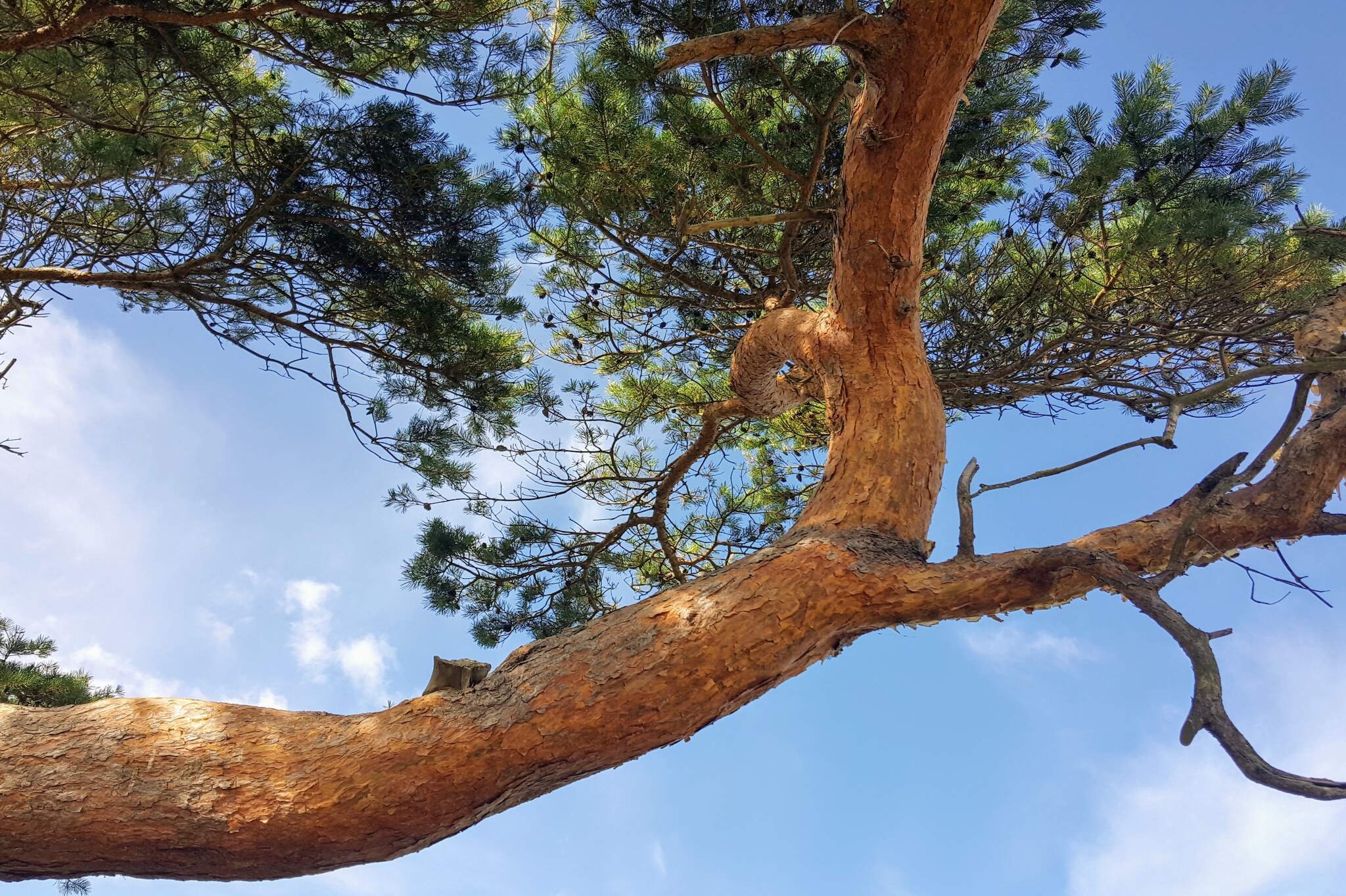 Charming Beach House - By Traum Ferienwohnungen